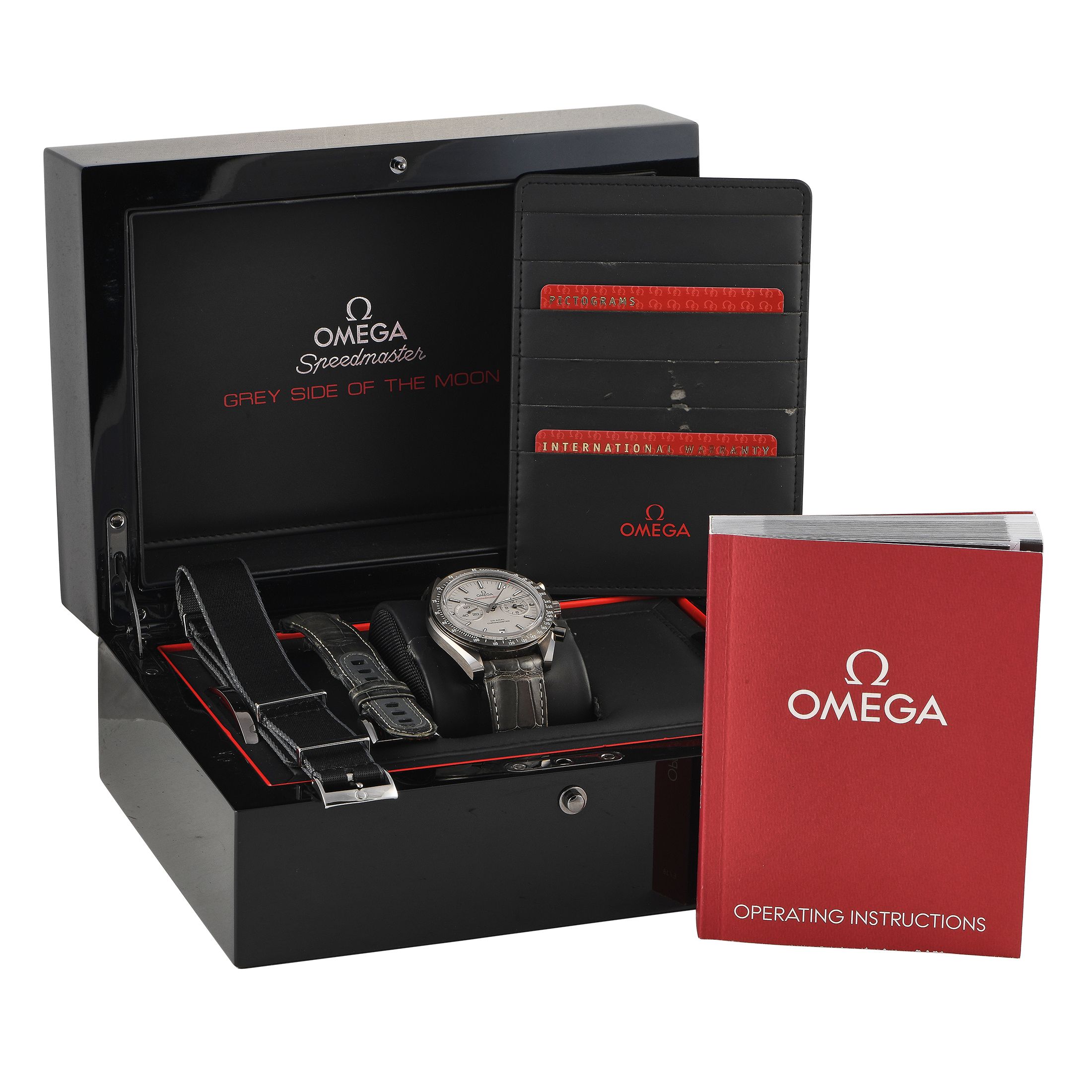 Omega Speedmaster Grey Side of the Moon Watch 311.93.44.51.99.001