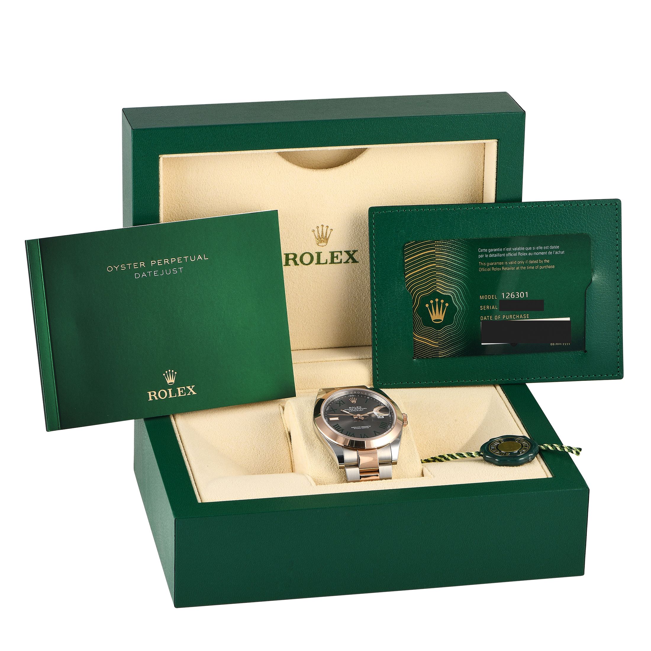 Rolex Datejust 41 Watch 126301