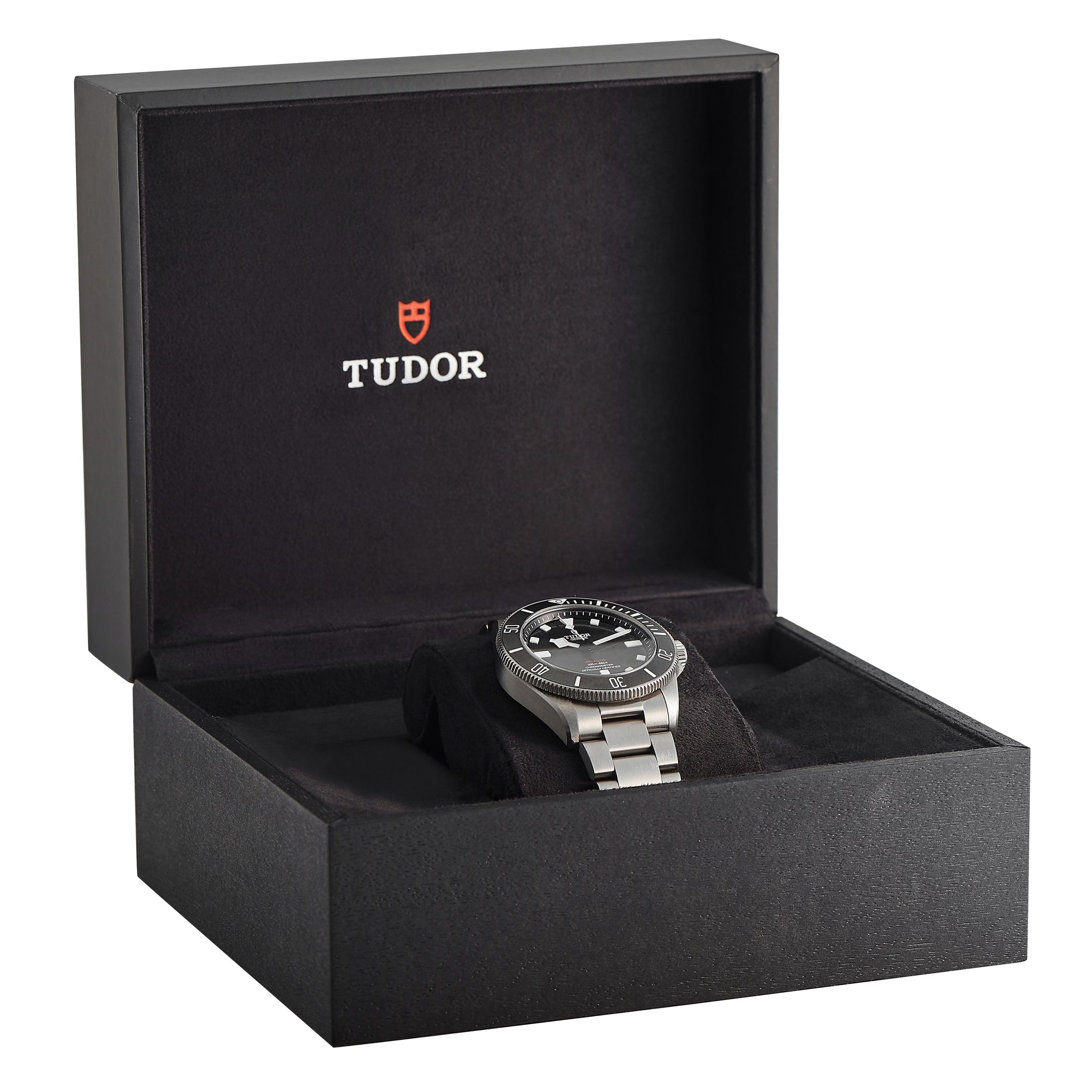 Tudor Pelagos 39 Titanium Watch 25407N