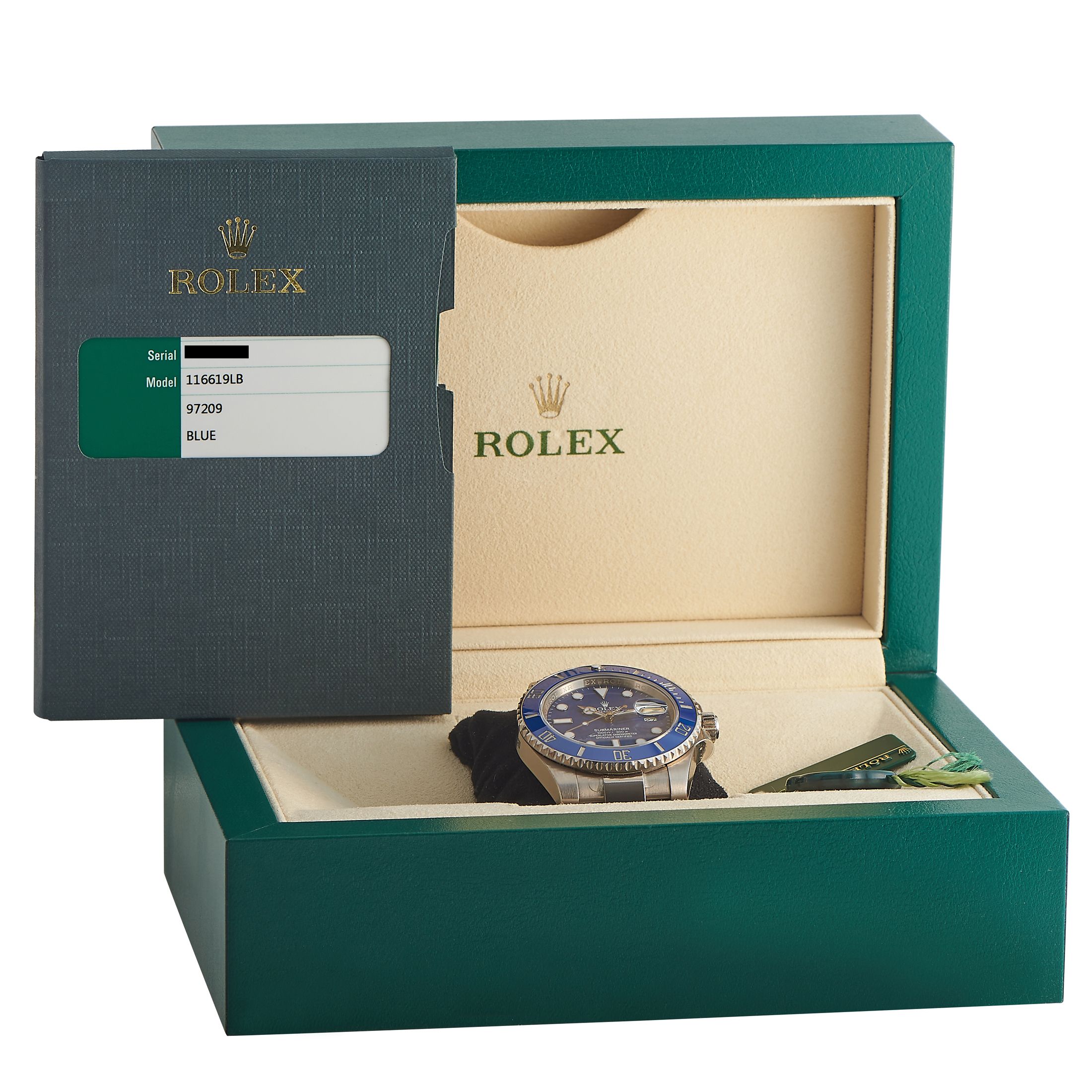Rolex Submariner Date Watch 116619LB