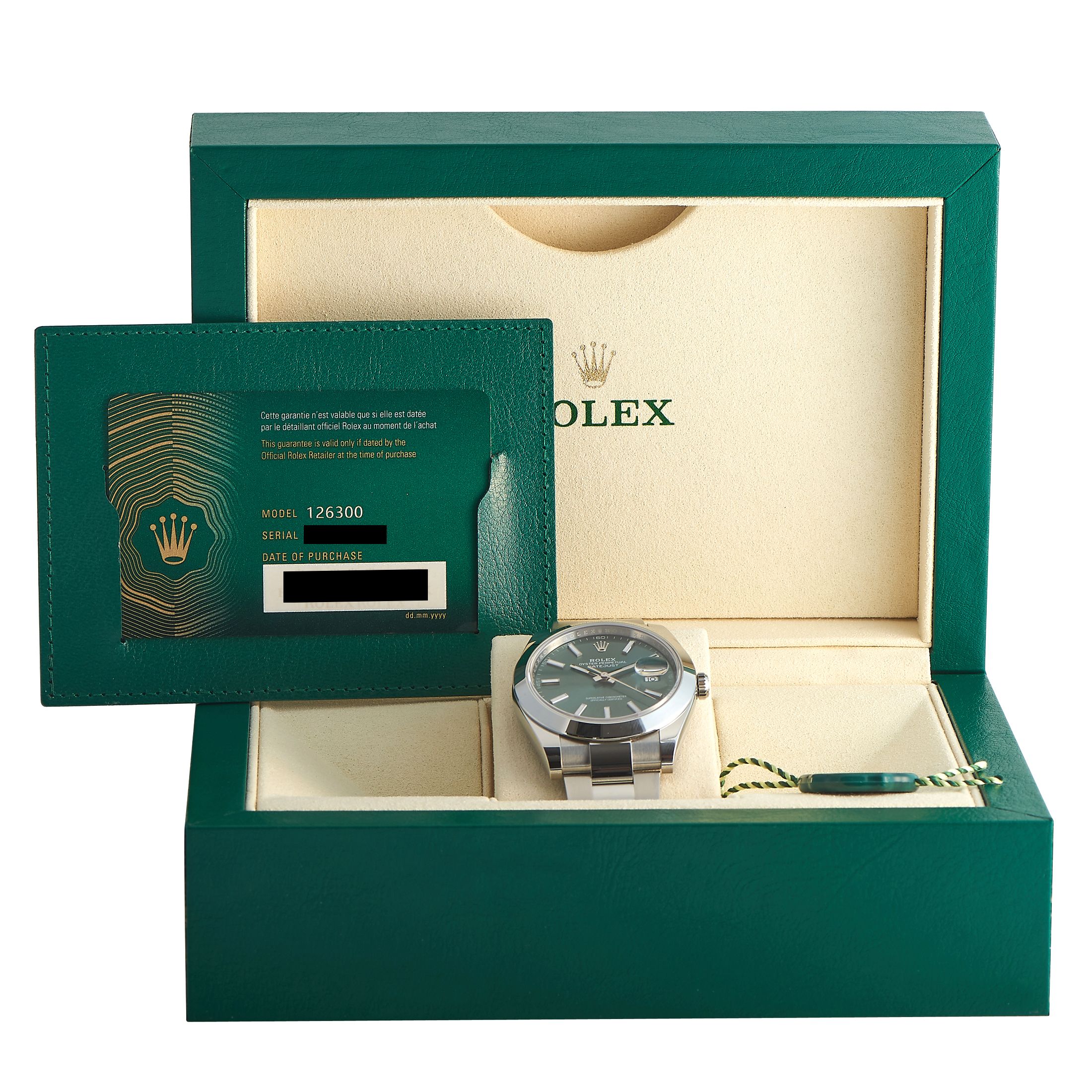 Rolex Datejust 41 Mint Green Dial Watch 126300