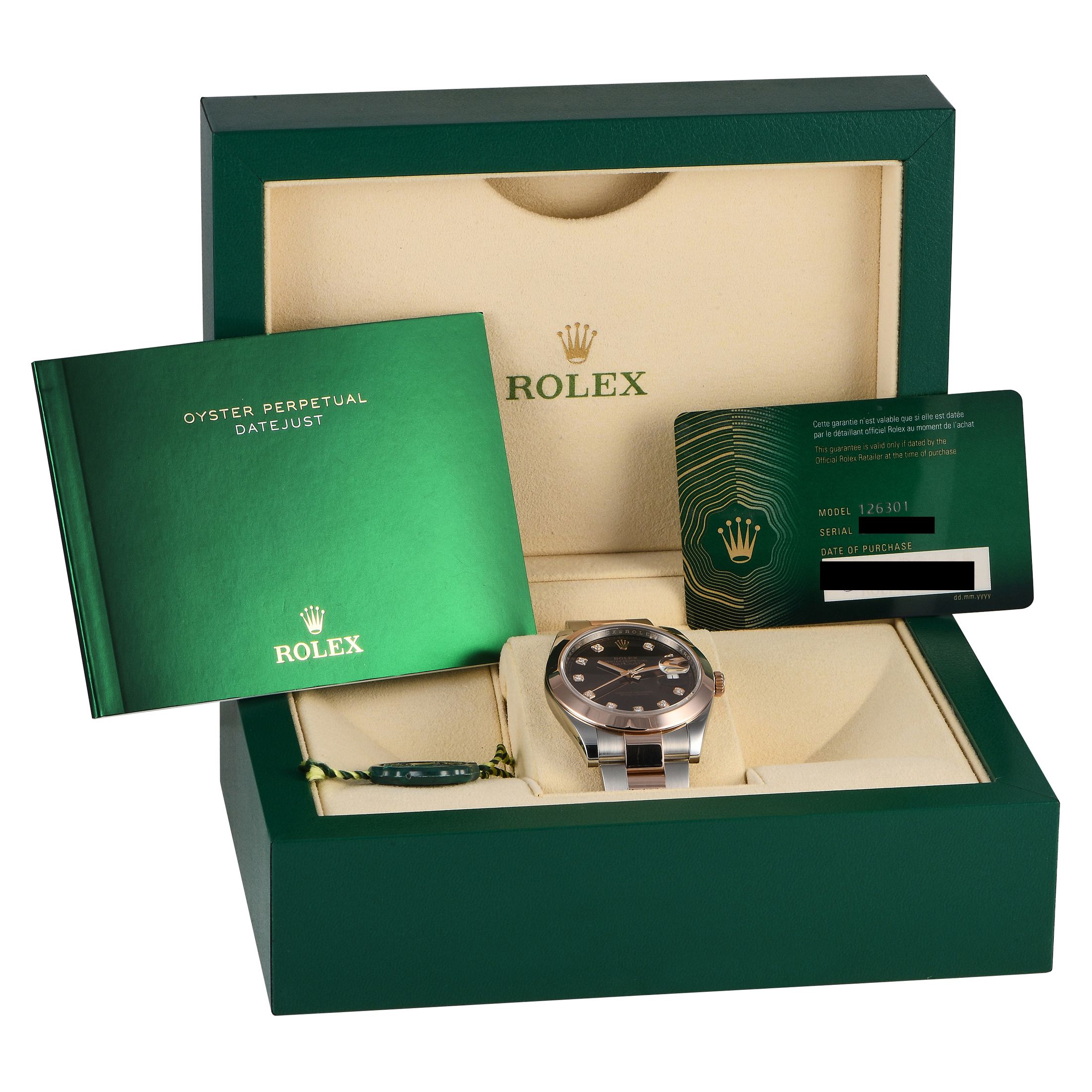 Rolex Datejust 41 Chocolate Diamond Dial Watch 126301