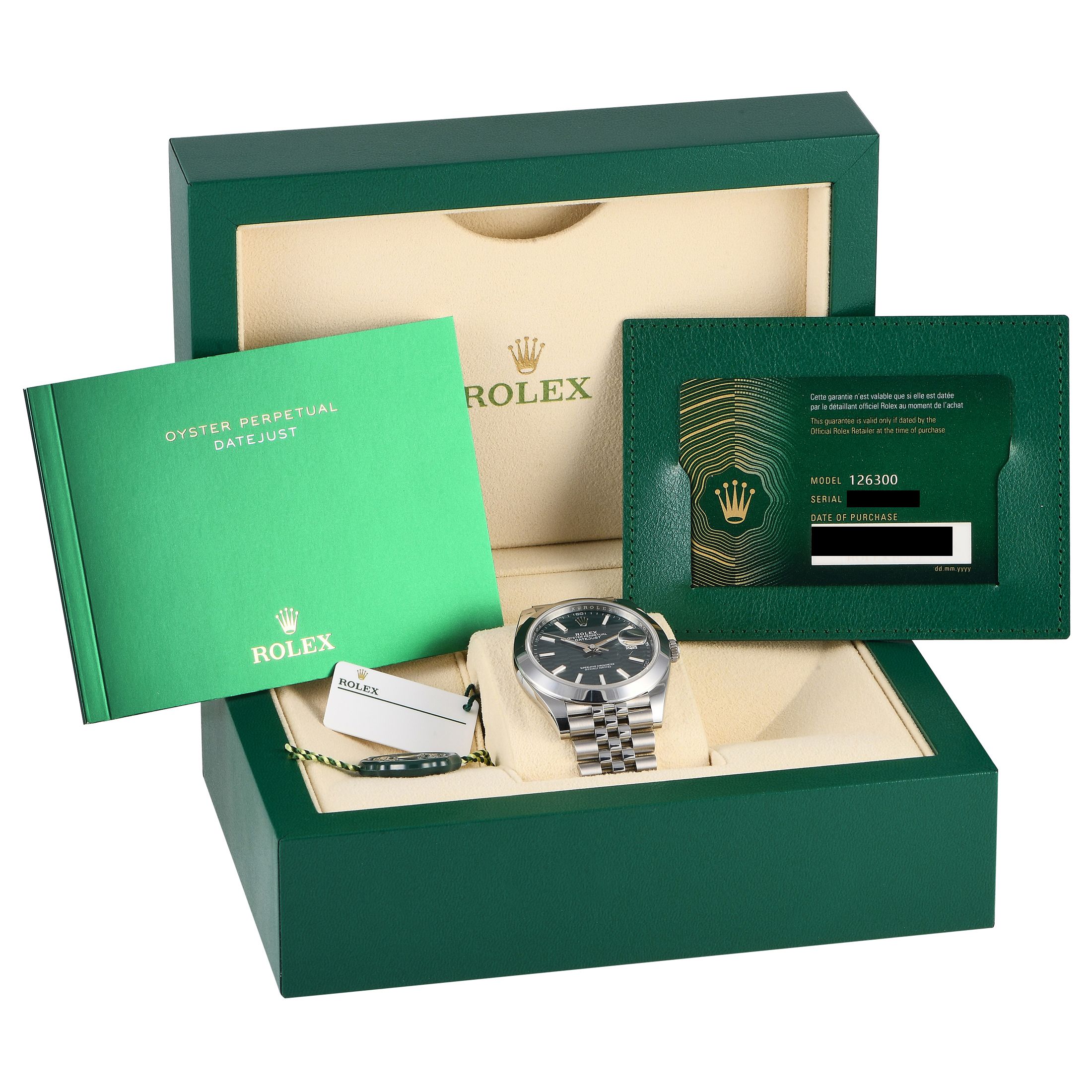 Rolex Datejust 41 Mint Green Fluted Dial Watch 126300