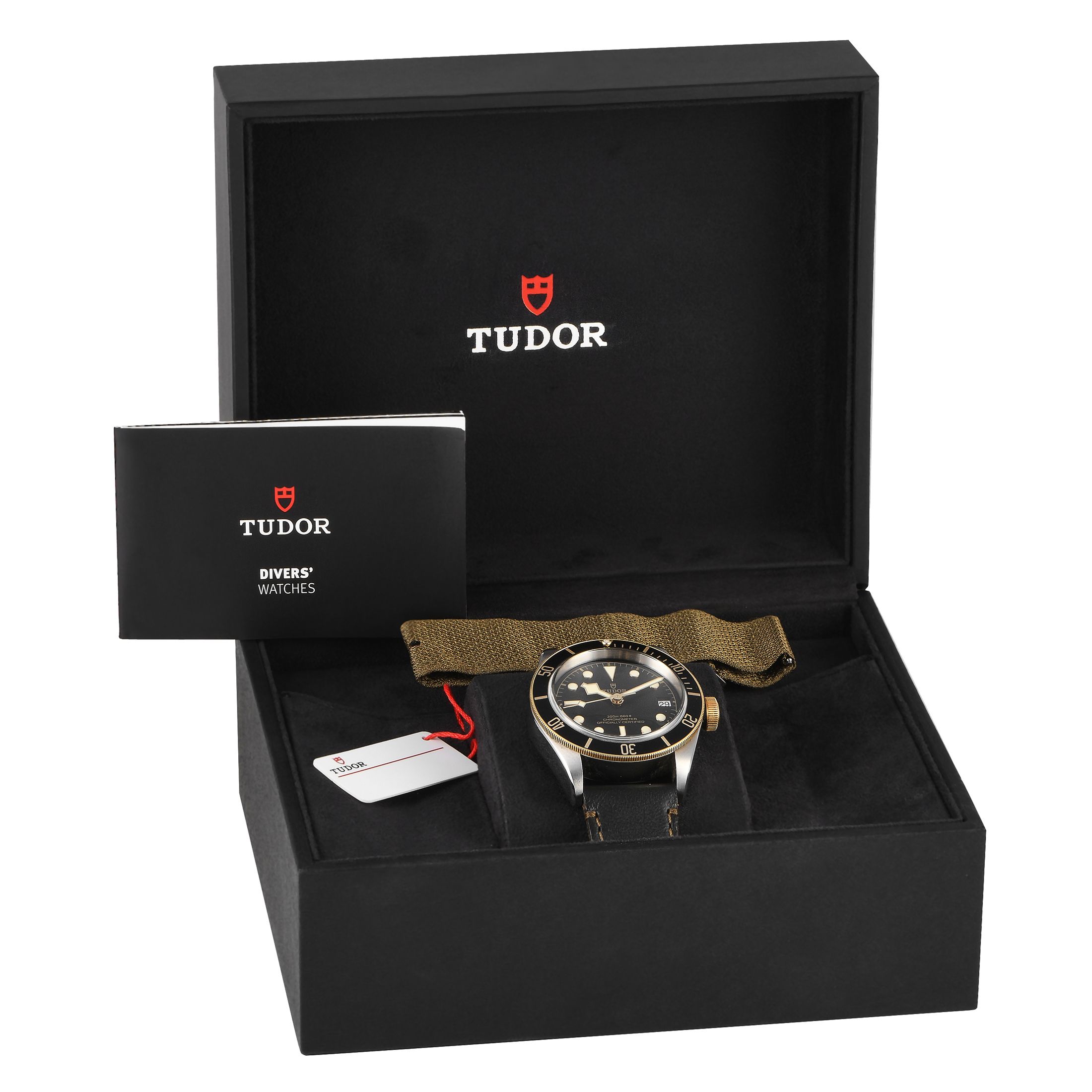Tudor Black Bay S&G Watch 79733N