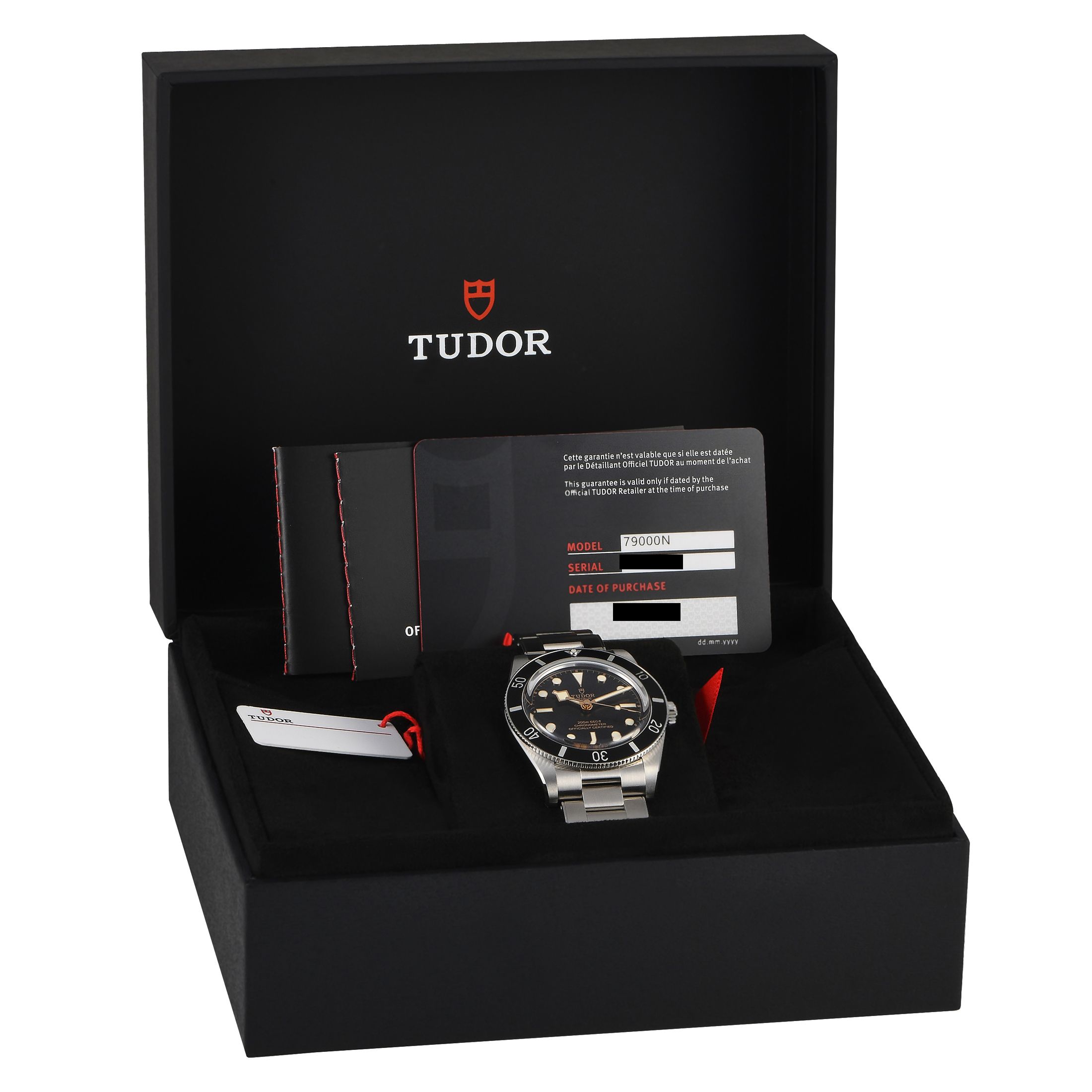 Tudor Black Bay 54 Watch 79000N