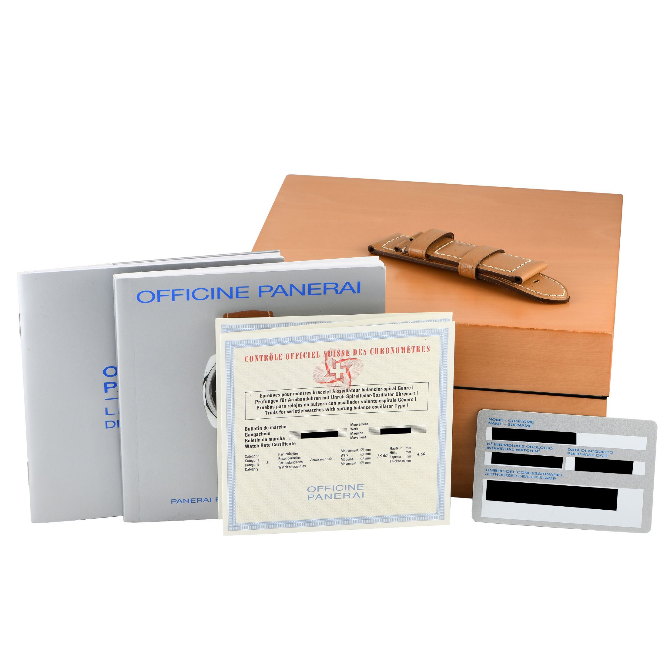 Officine Panerai Radiomir Black Seal Watch PAM00183