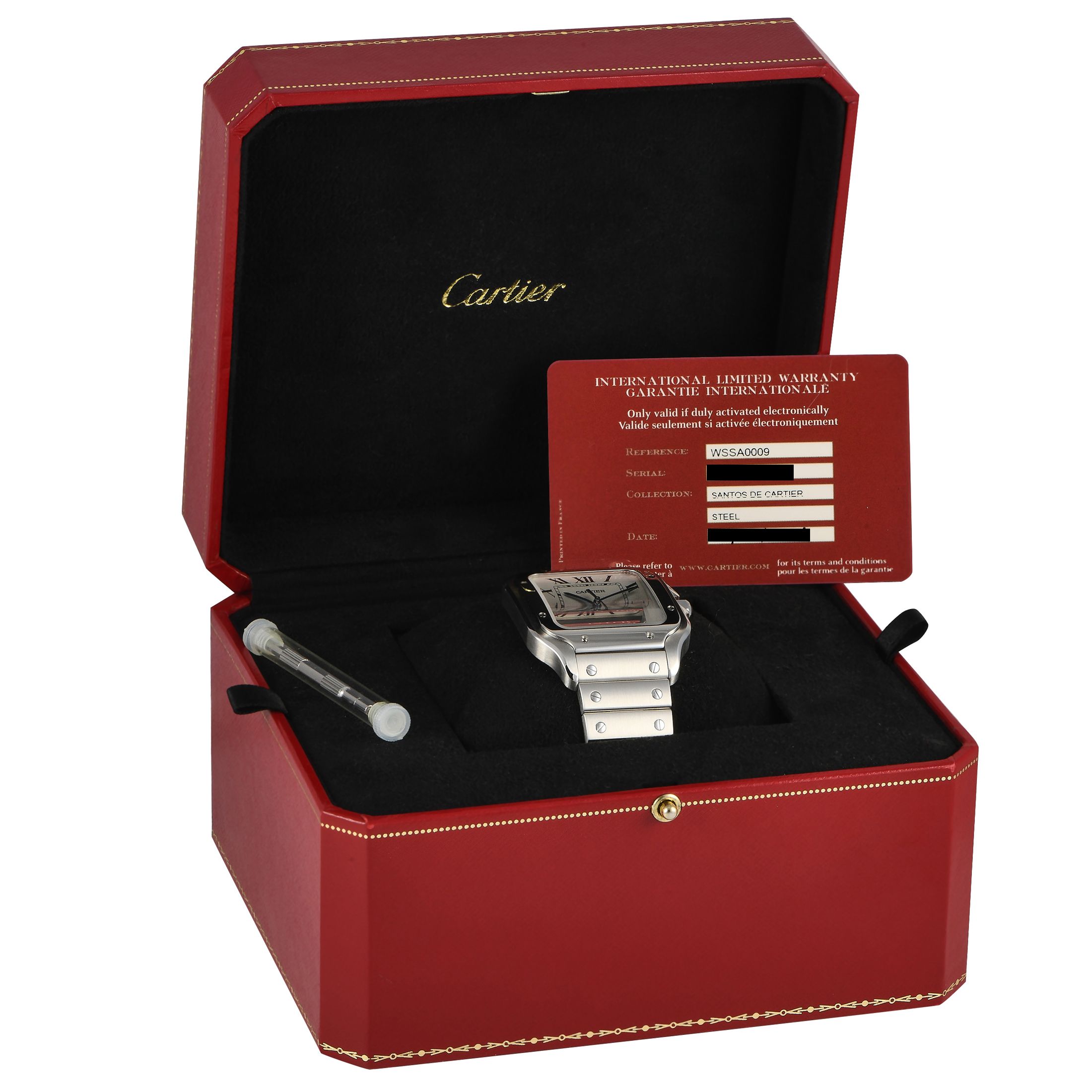 Cartier Santos Large Model Watch WSSA0009