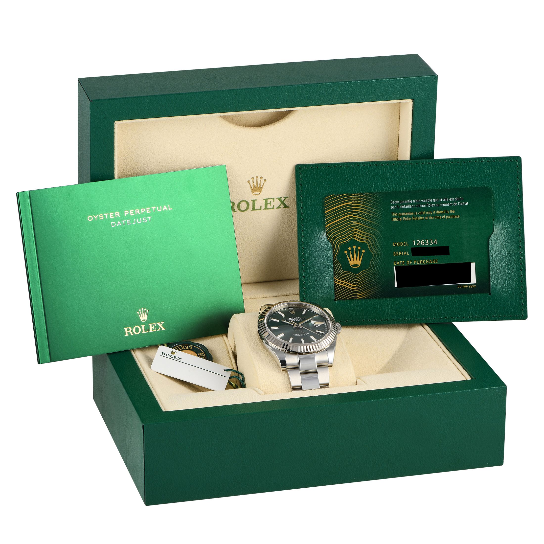 Rolex Datejust 41 Mint Green Dial Watch 126334