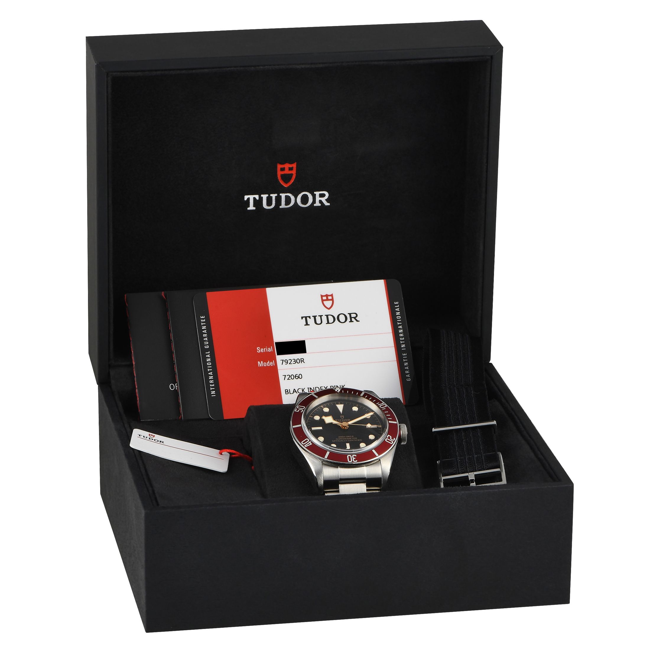 Tudor Heritage Black Bay Watch 79230R