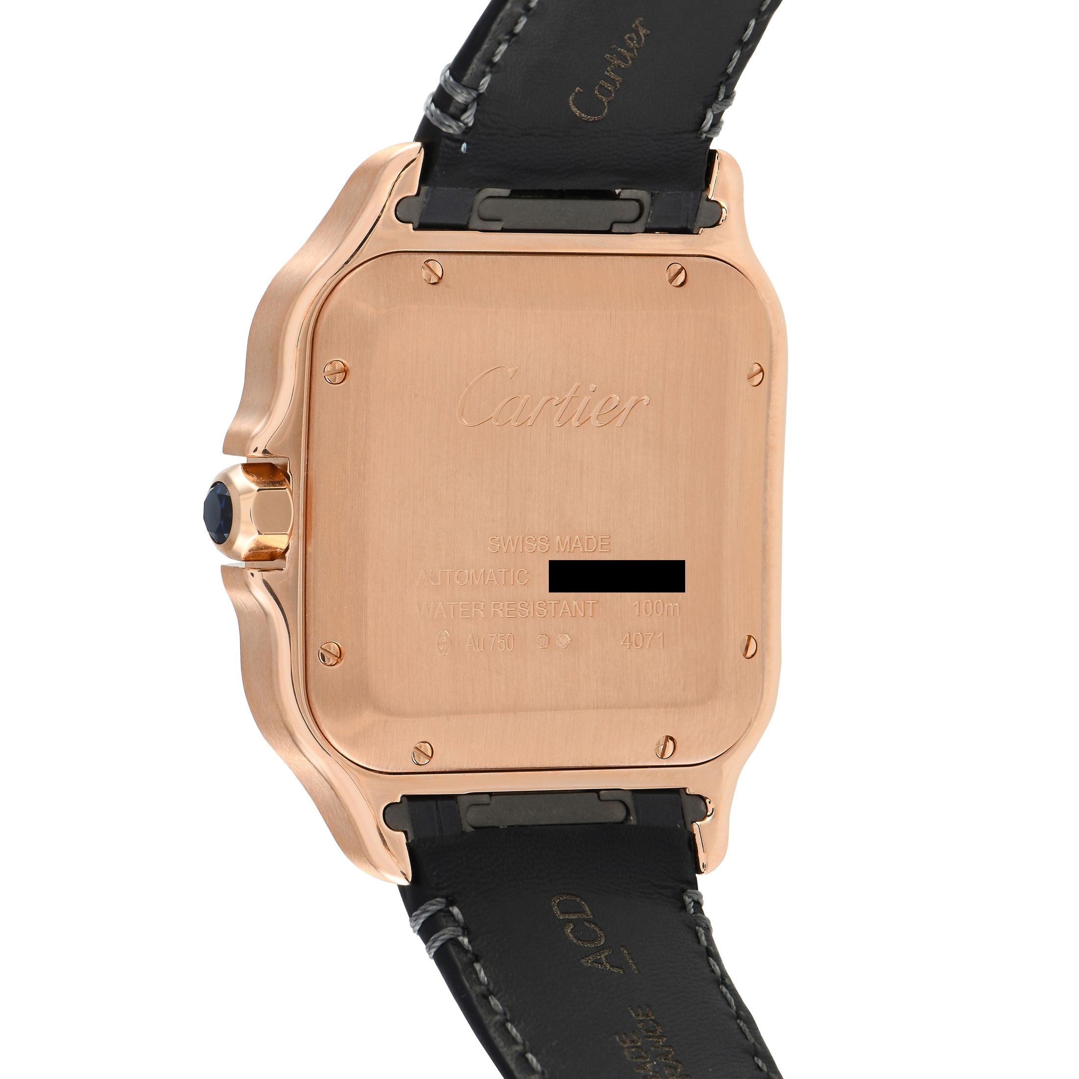 Cartier Santos Large Model Watch WGSA0019