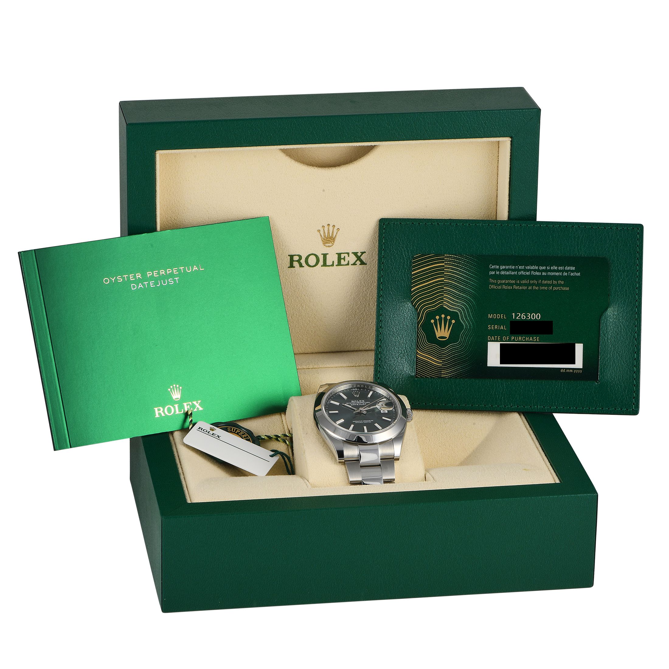 Rolex Datejust 41 Mint Green Dial Watch 126300