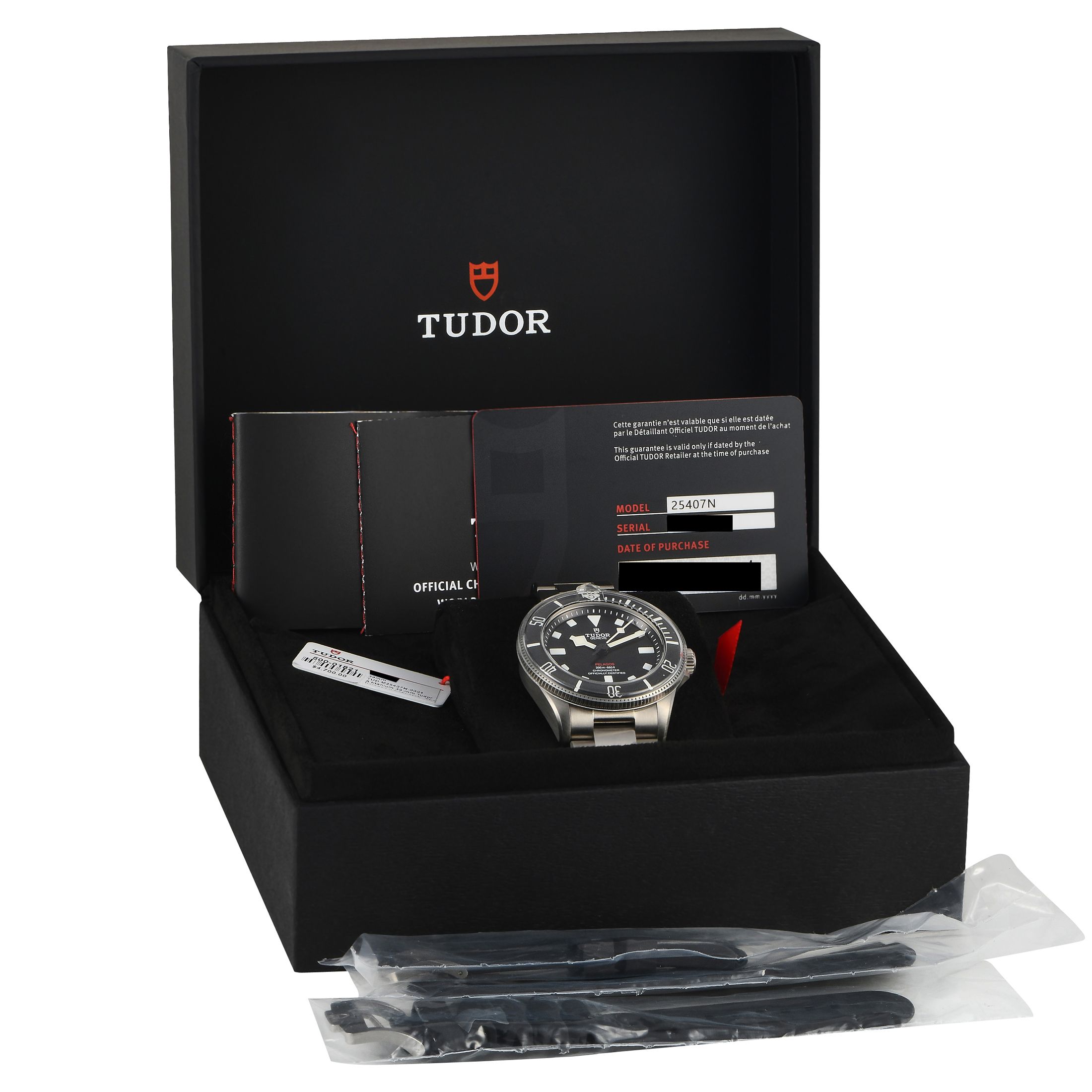 Tudor Pelagos 39 Titanium Watch 25407N