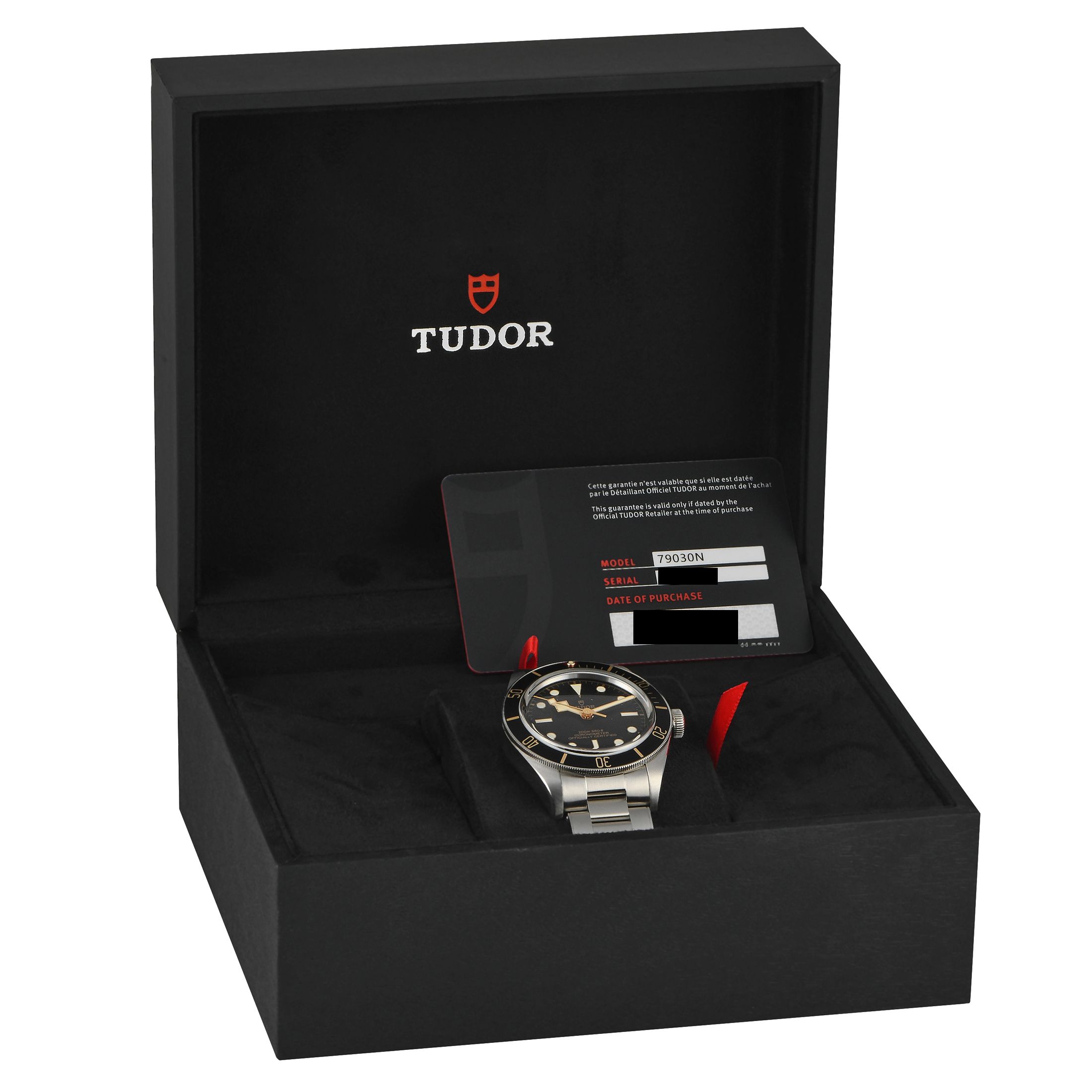 Tudor Black Bay 58 Watch 79030N