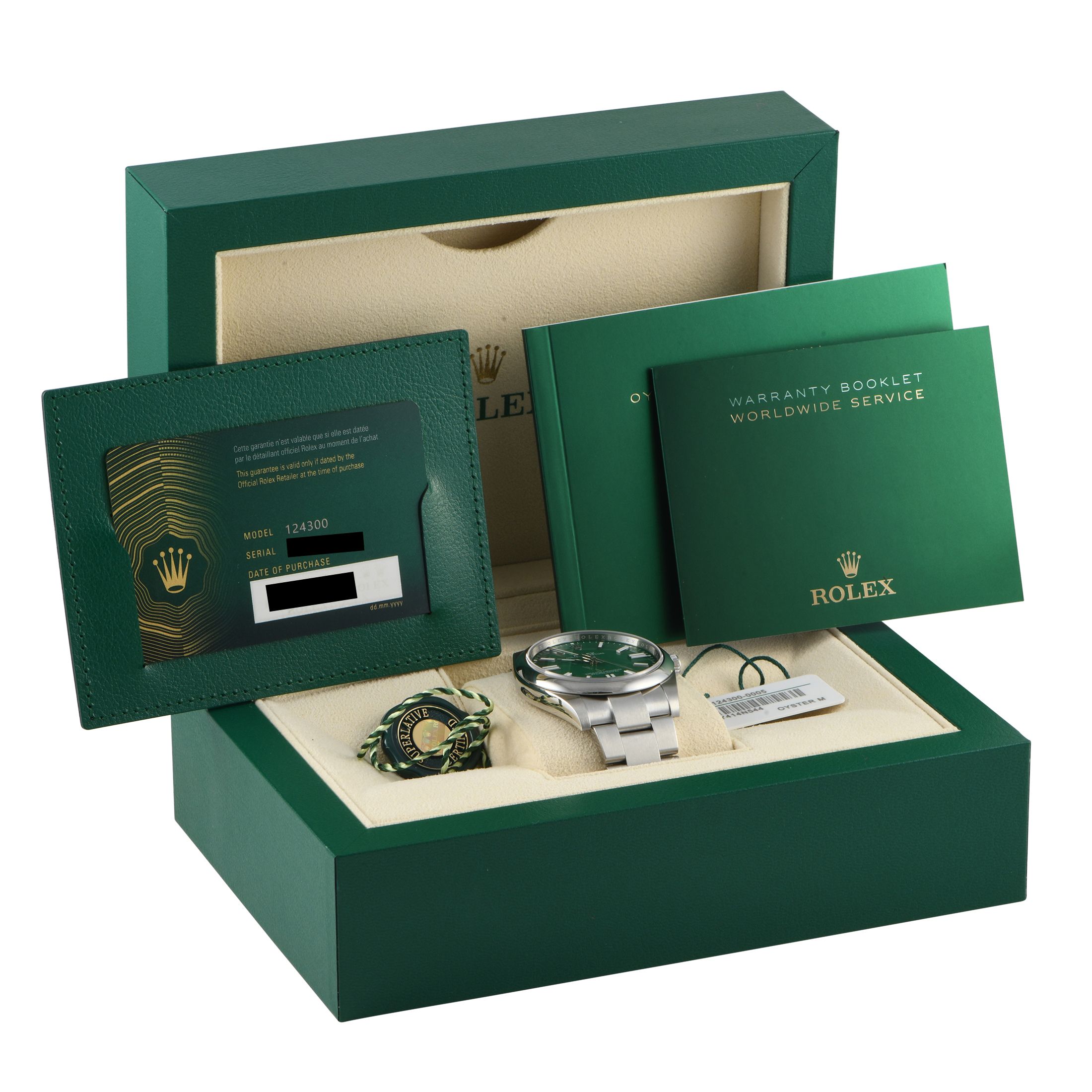 Rolex Oyster Perpetual 41 Green Dial Watch 124300