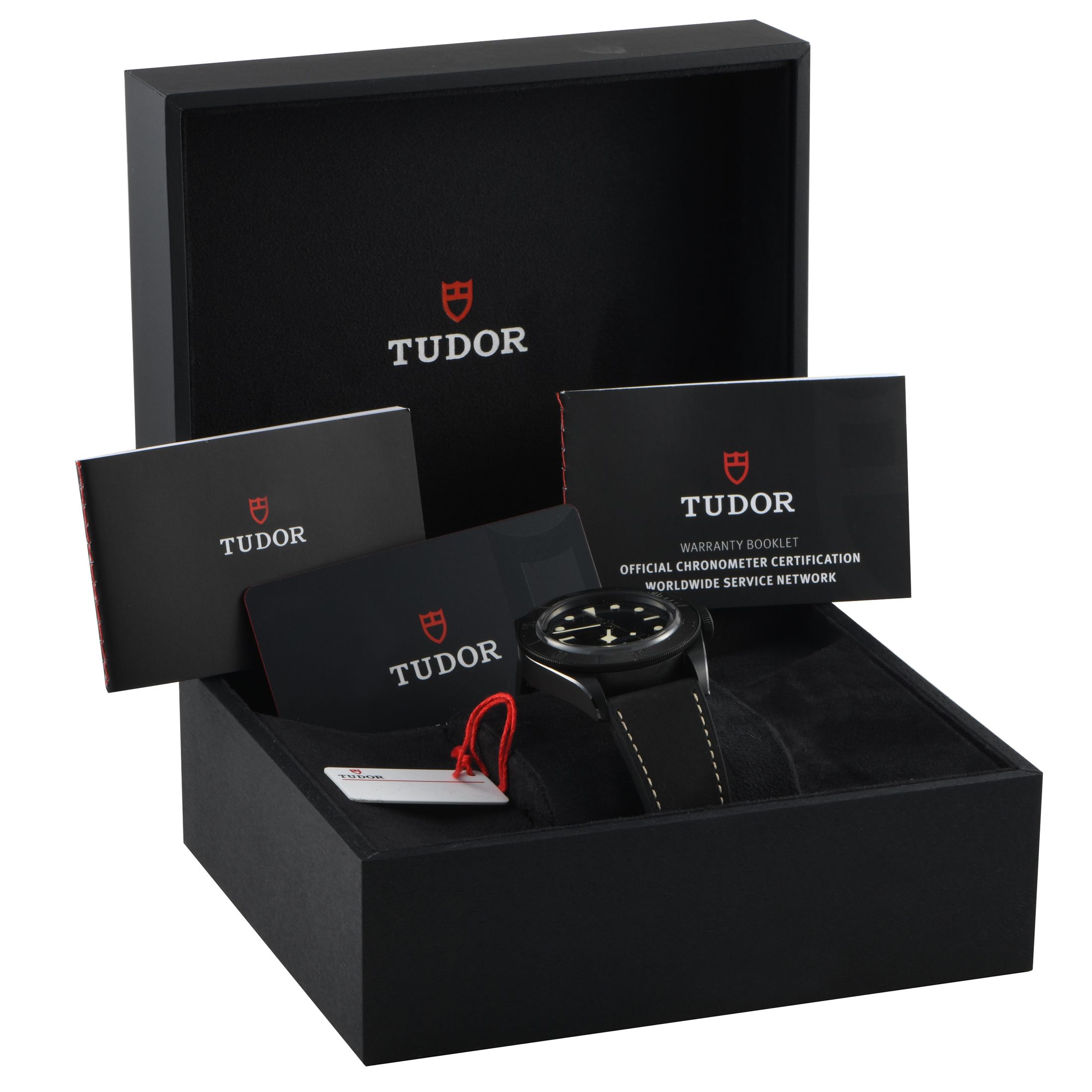 Tudor Black Bay Ceramic Watch M79210CNU-0001