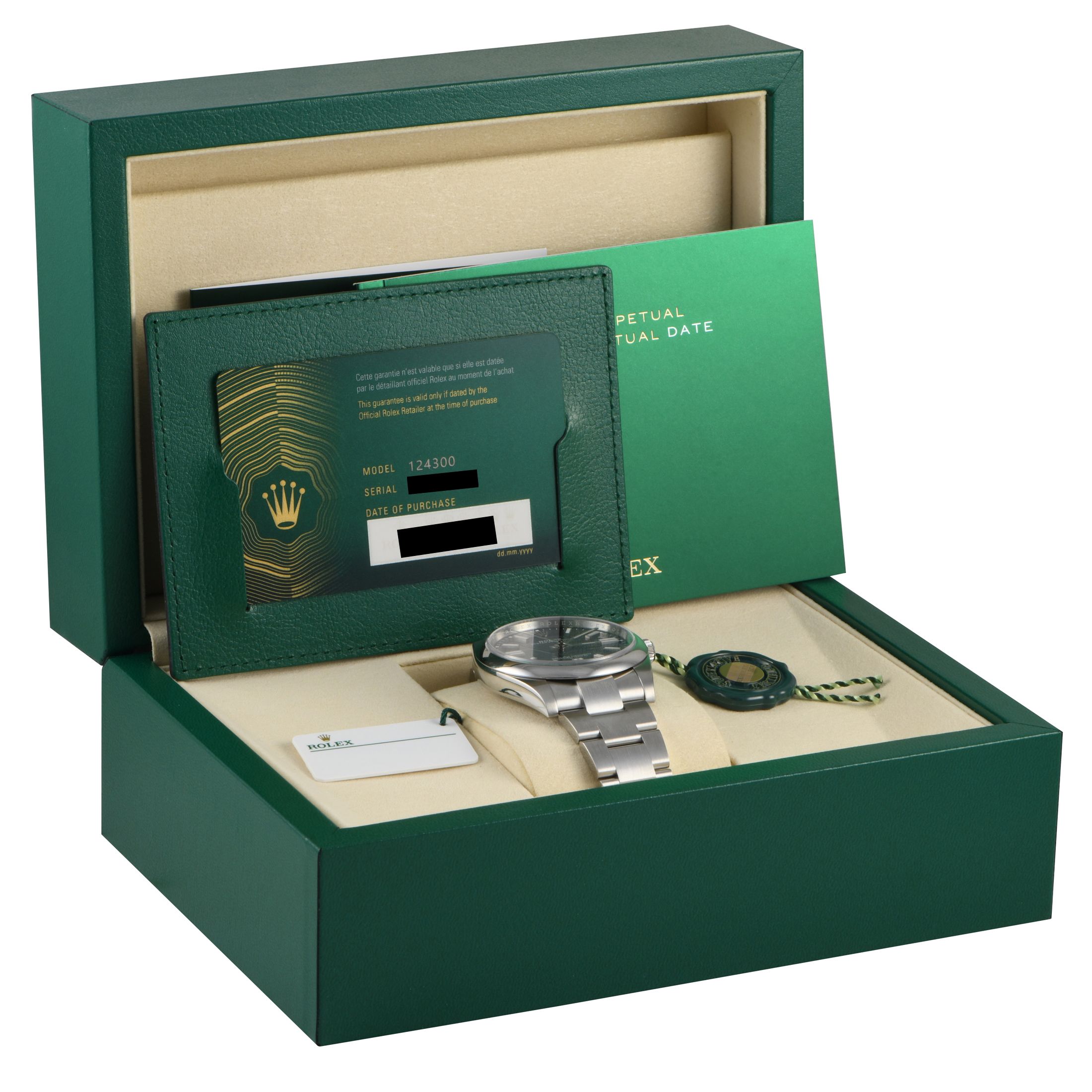 Rolex Oyster Perpetual 41 Blue Dial Watch 124300