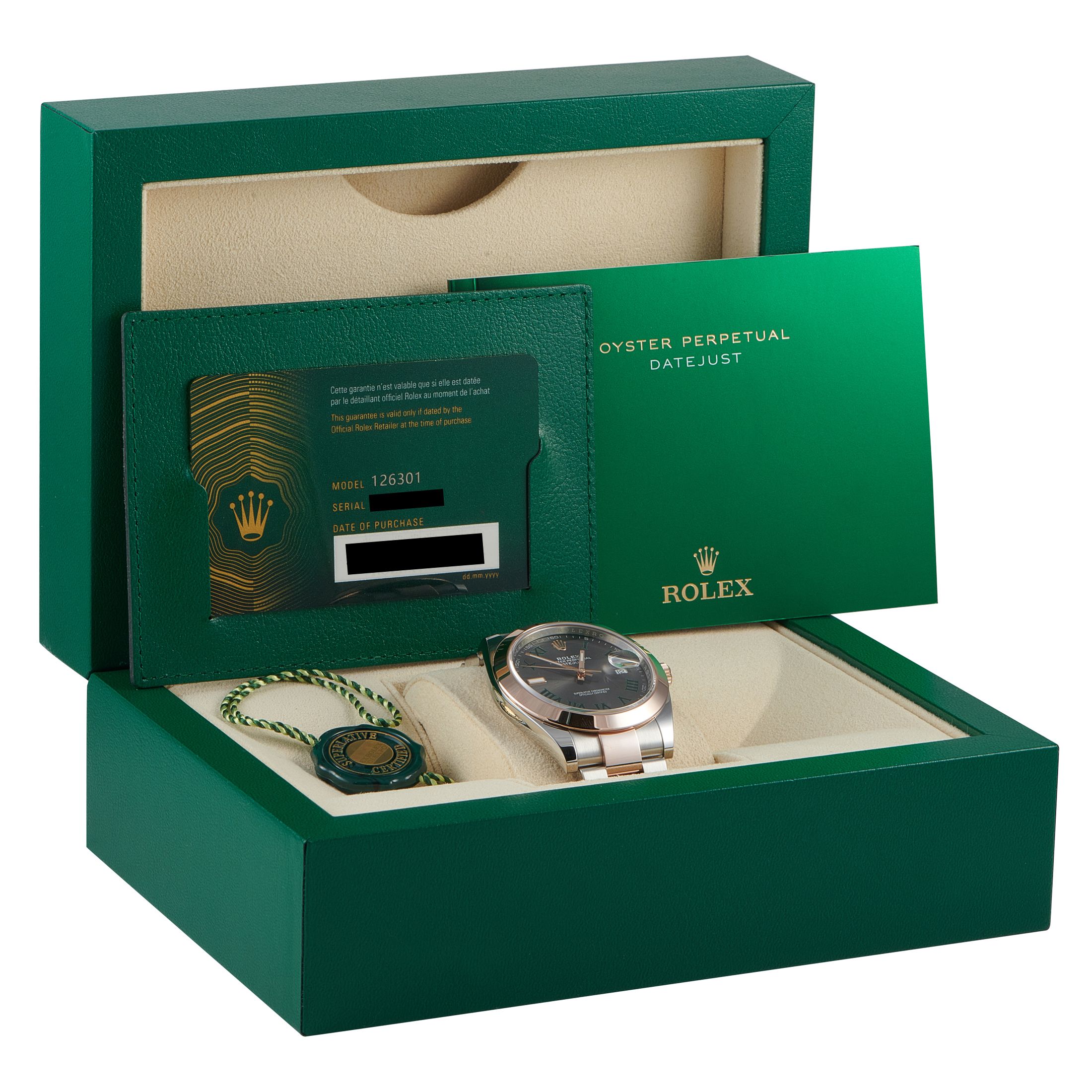 Rolex Datejust 41 Watch 126301