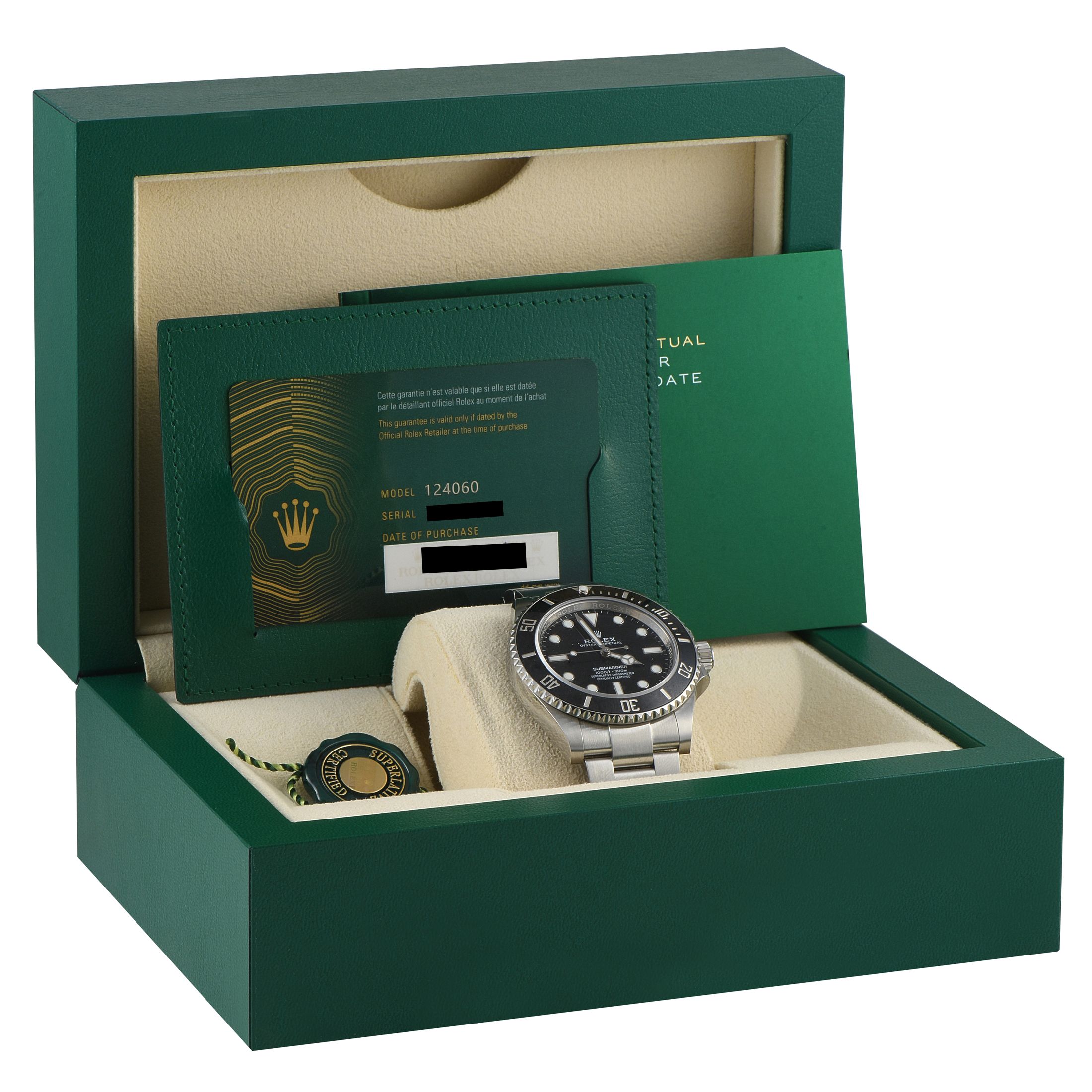 Rolex Submariner No Date Watch 124060