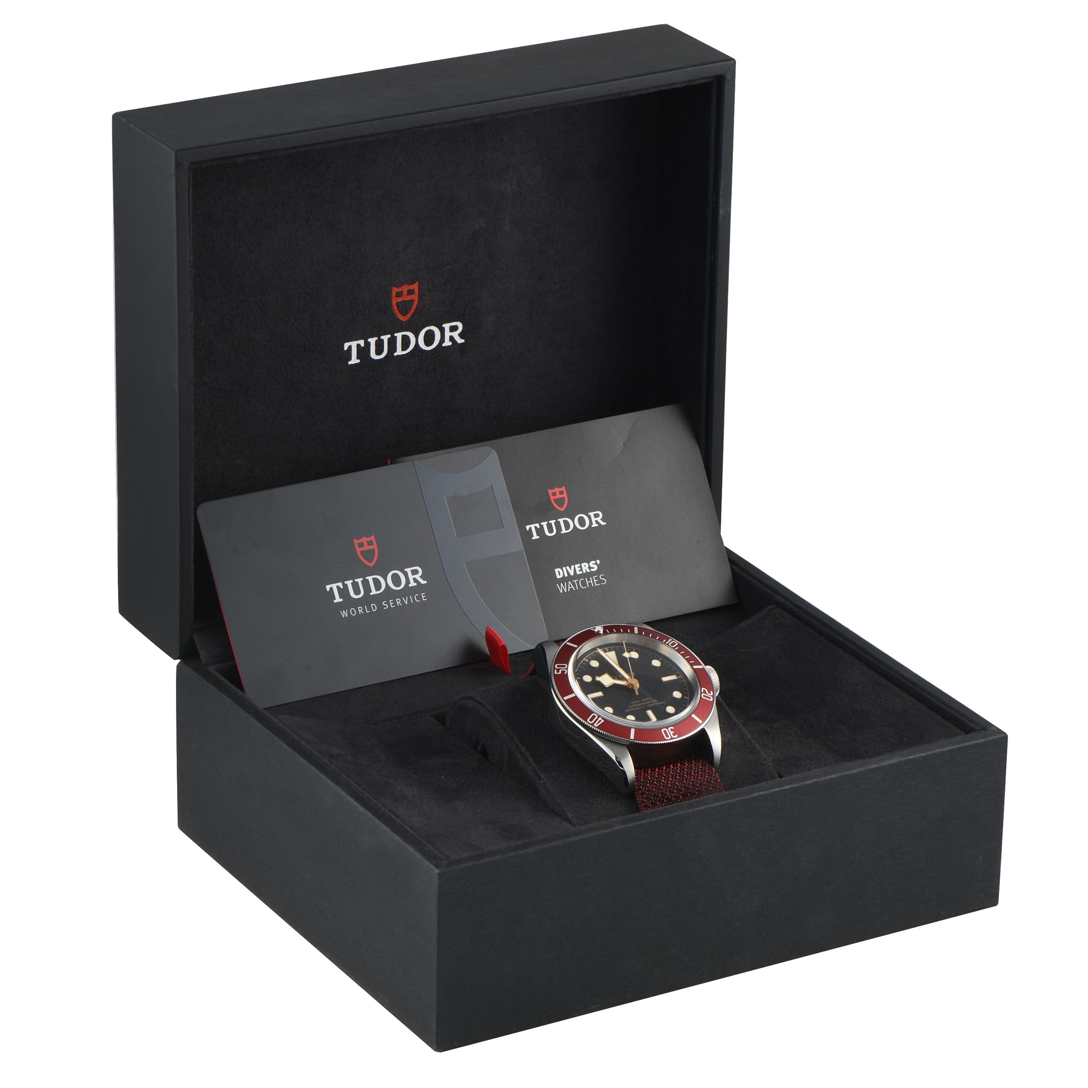 Tudor Black Bay 41 Watch 79230