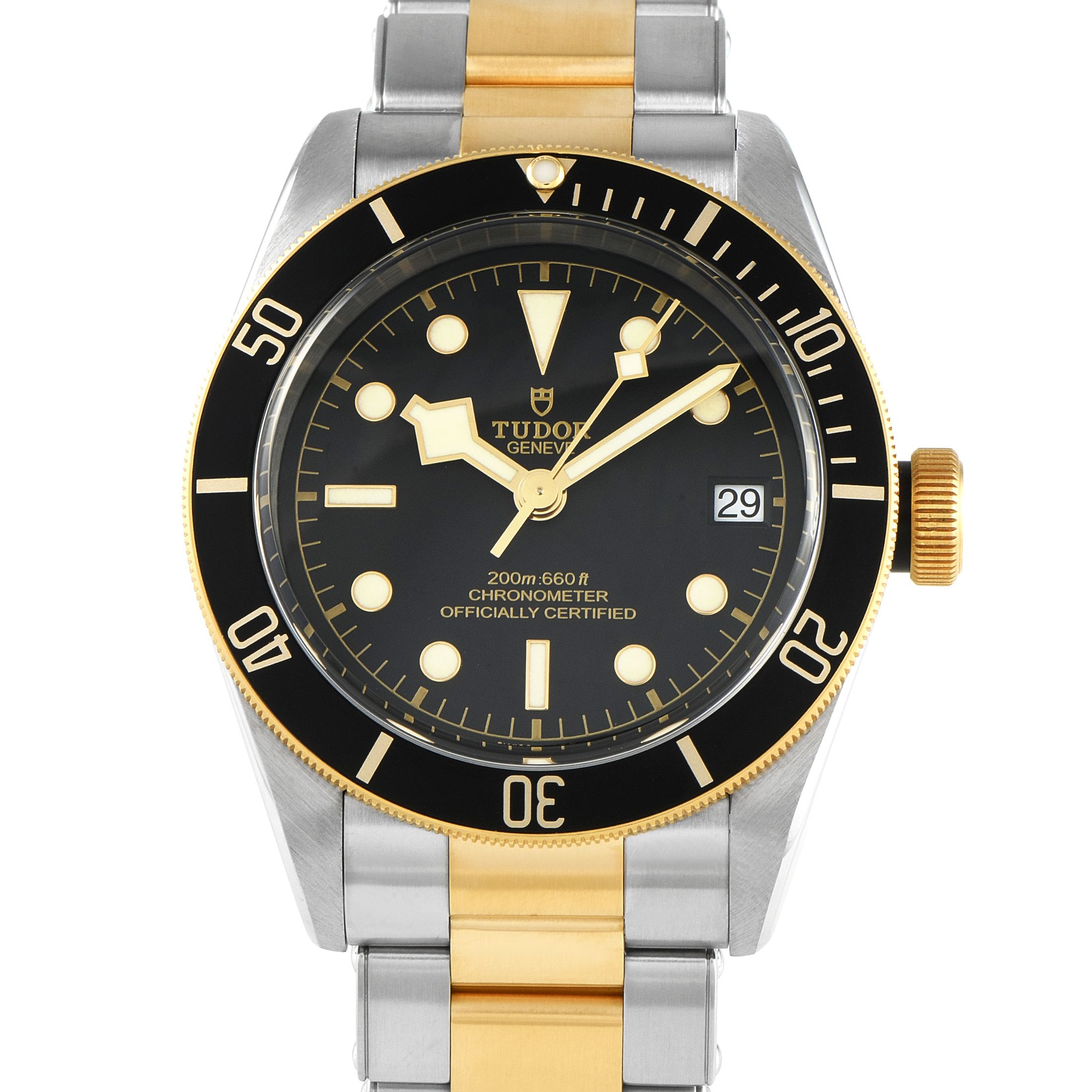 Tudor Black Bay Two-Tone Watch 79733N