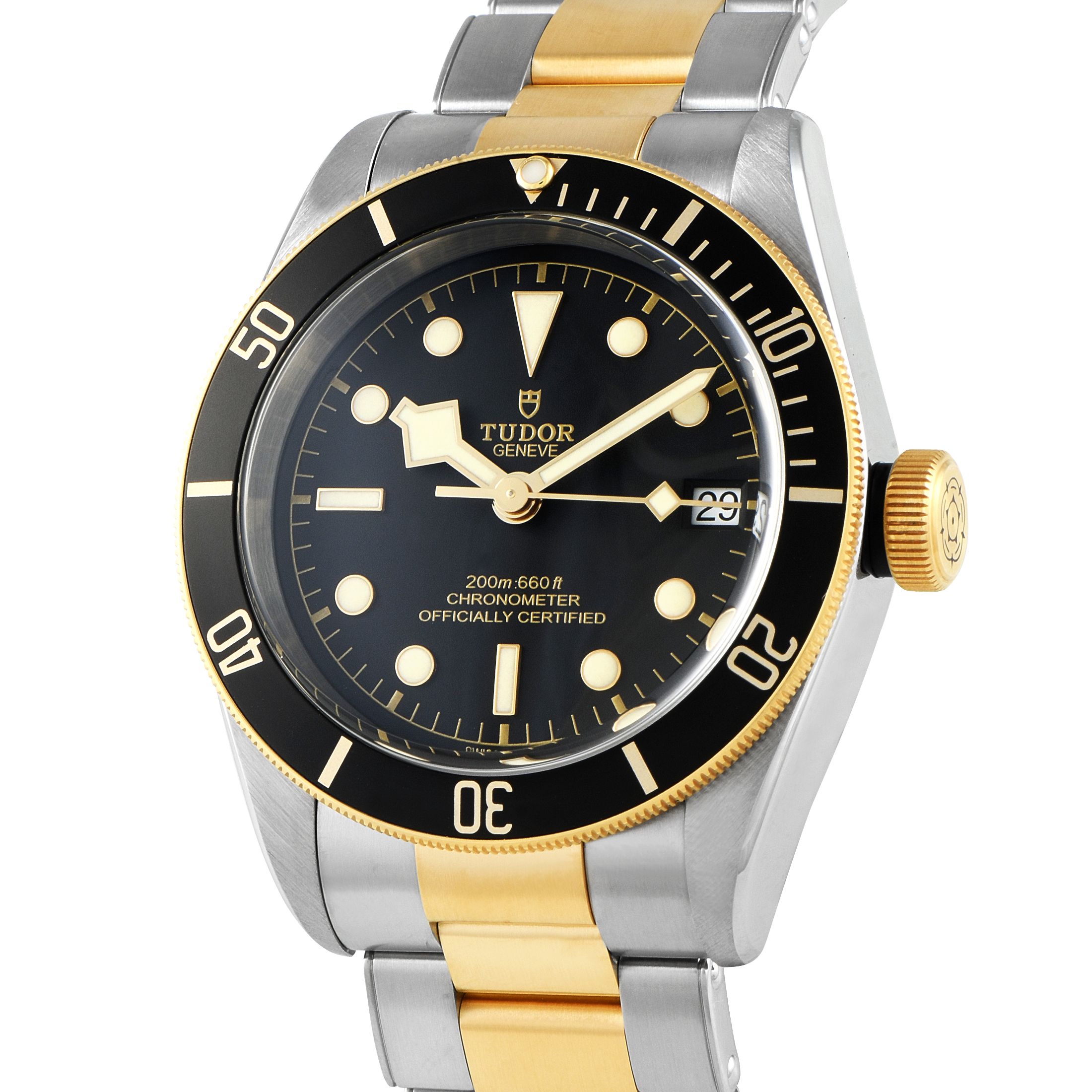 Tudor Black Bay Two-Tone Watch 79733N