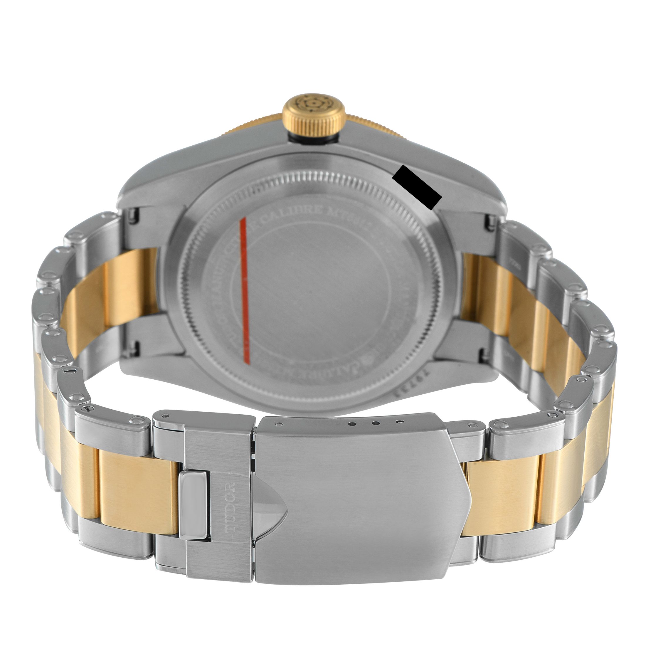 Tudor Black Bay Two-Tone Watch 79733N