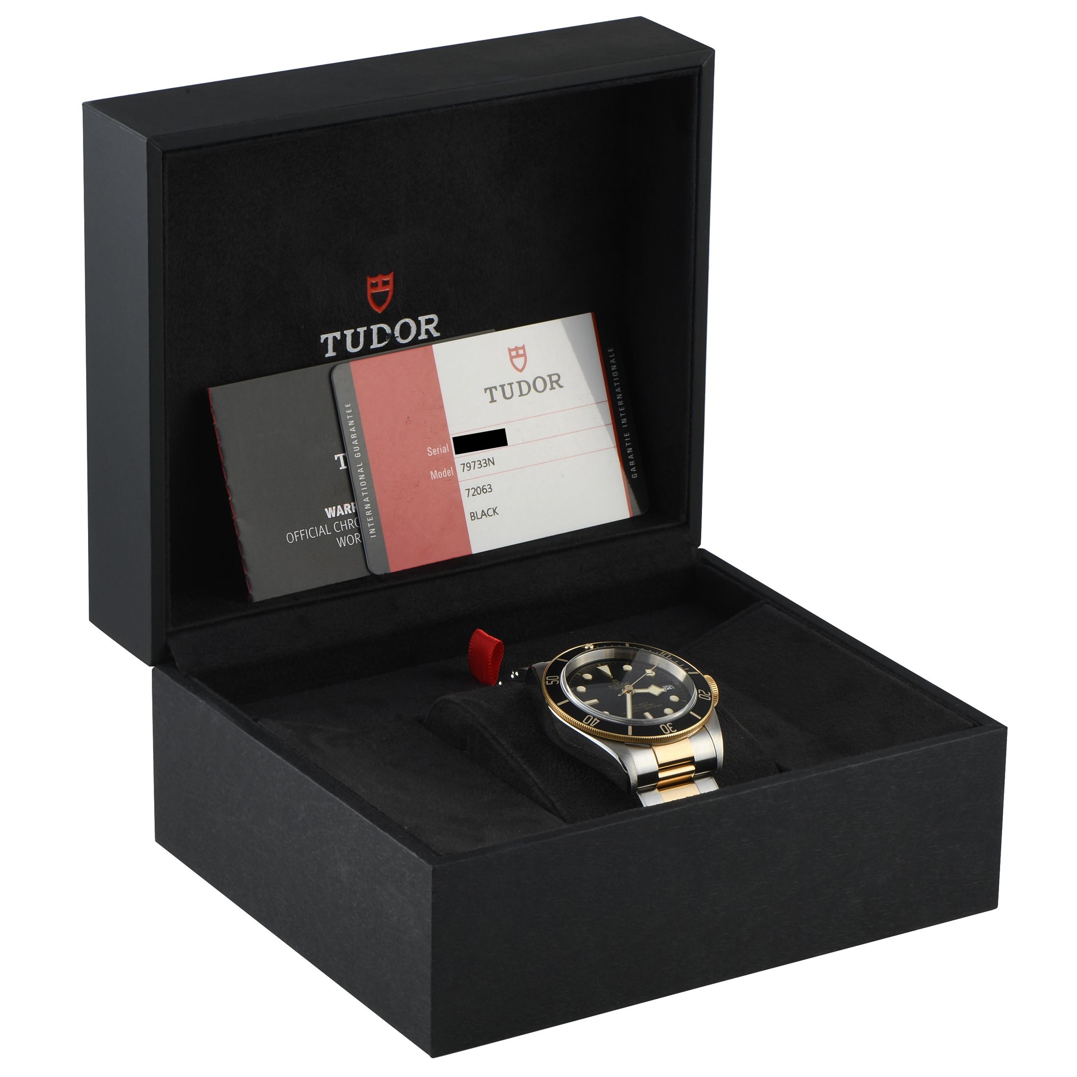 Tudor Black Bay Two-Tone Watch 79733N
