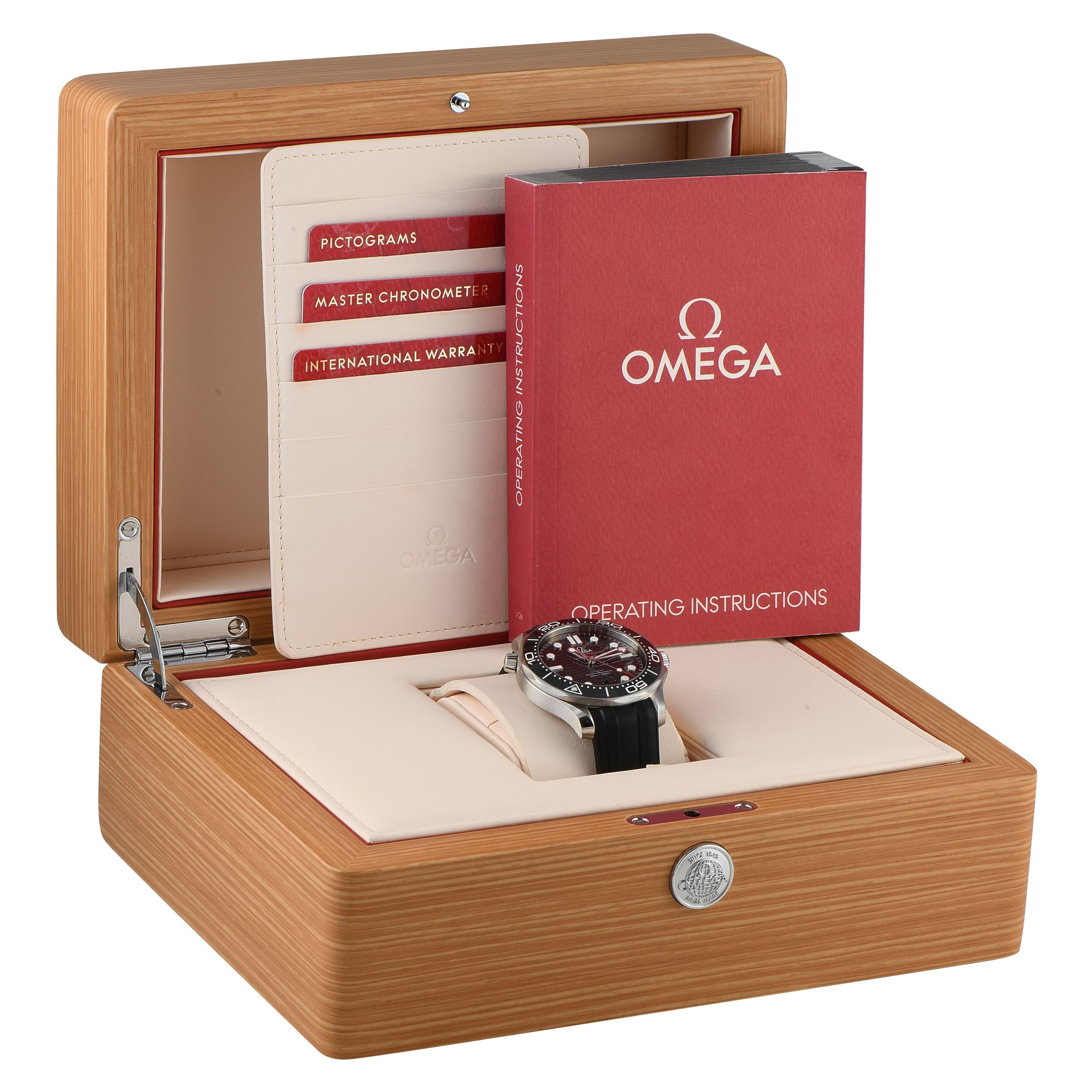 Omega Seamaster Diver 300M Steel Watch 210.32.42.20.01.001