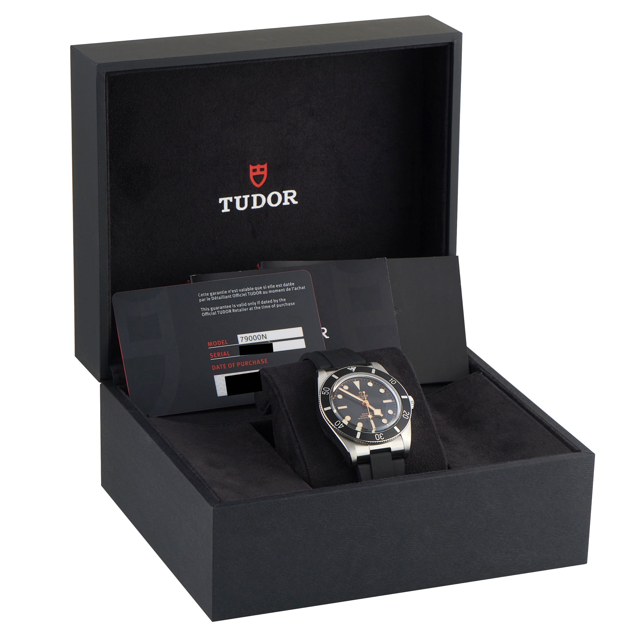 Tudor Black Bay 54 Steel Watch 79000N