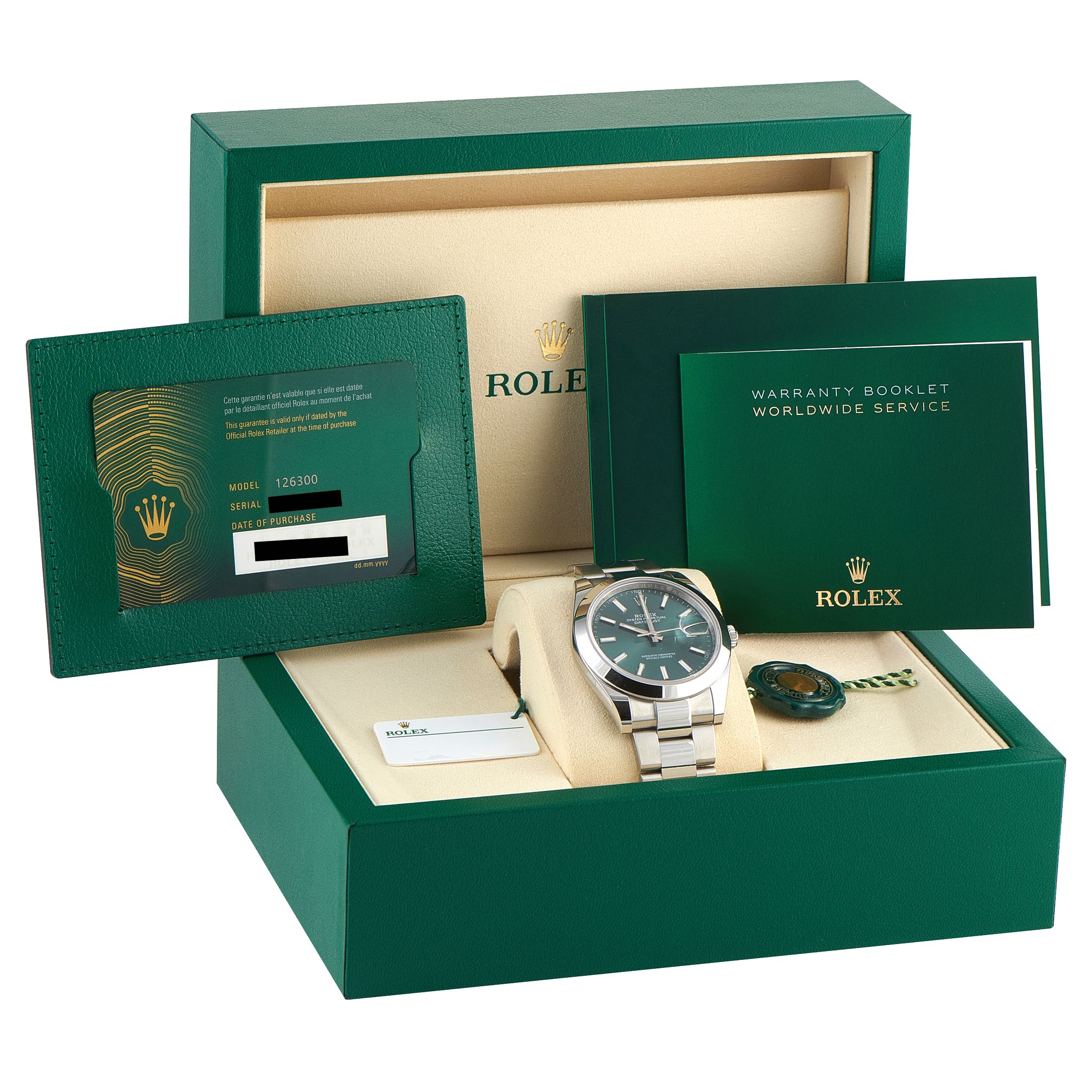 Rolex Datejust 41 Mint Green Dial Steel Oyster Watch 126300