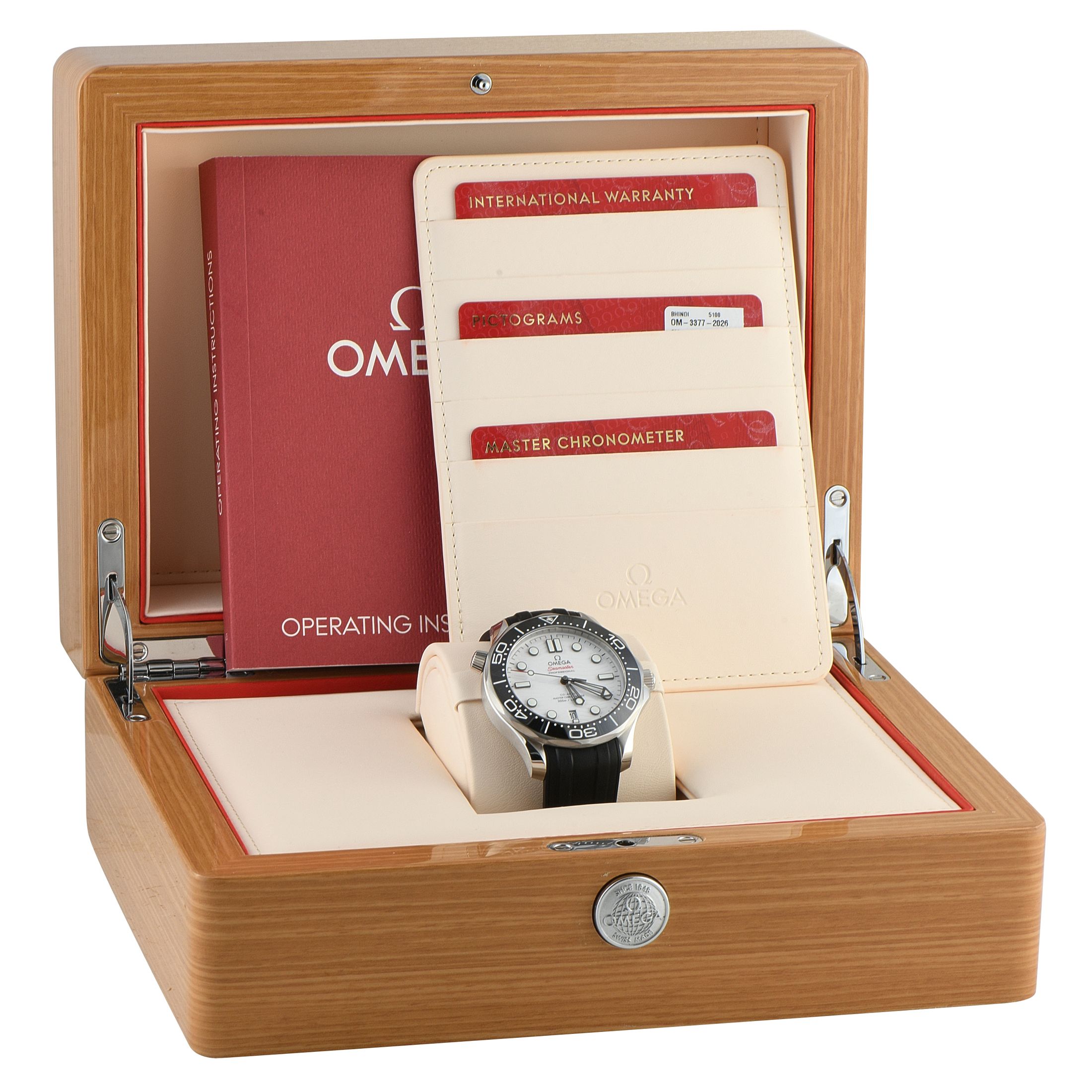 Omega Seamaster Diver 300M Steel Watch 210.32.42.20.04.001