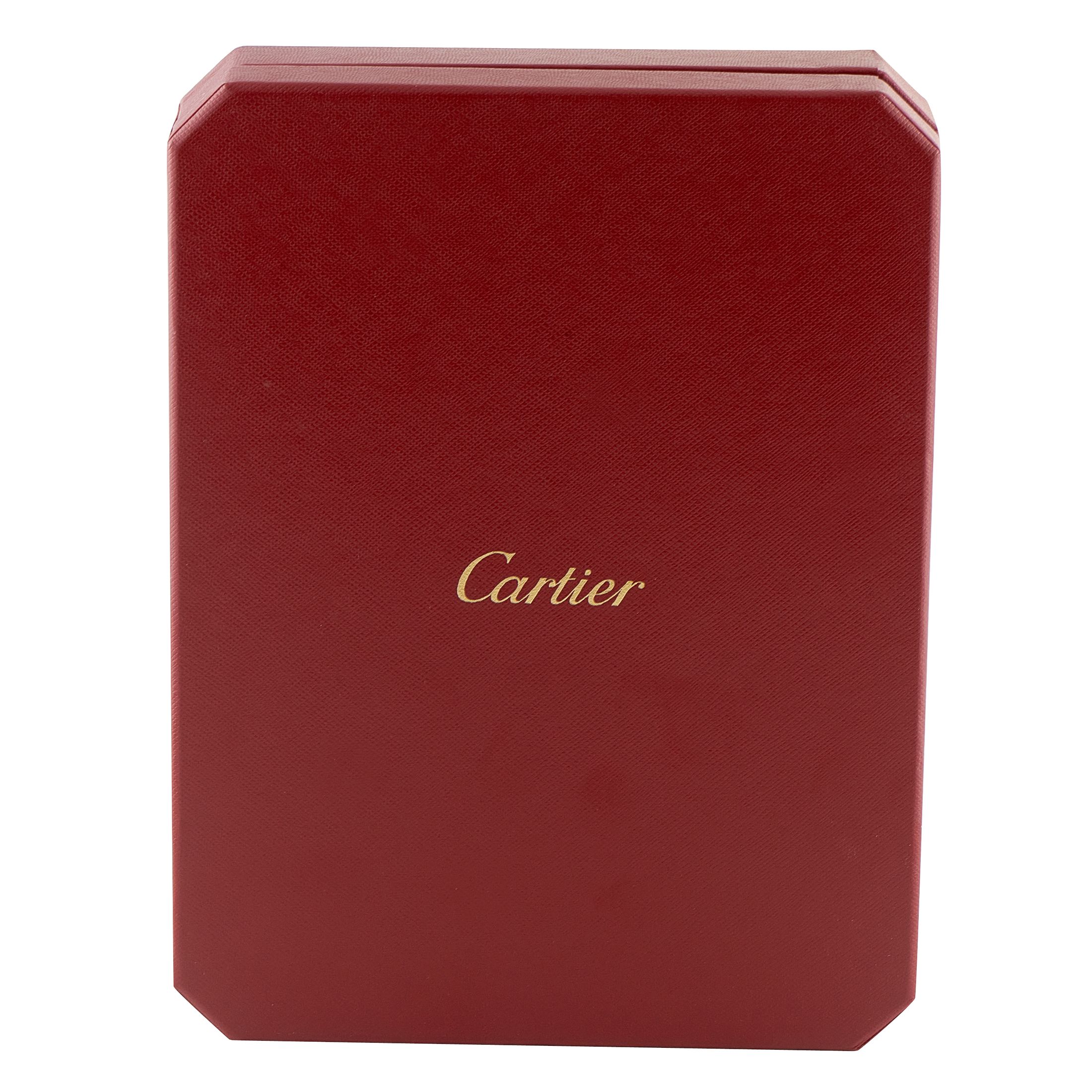 Cartier Santos Skeleton Steel Watch WHSA0026