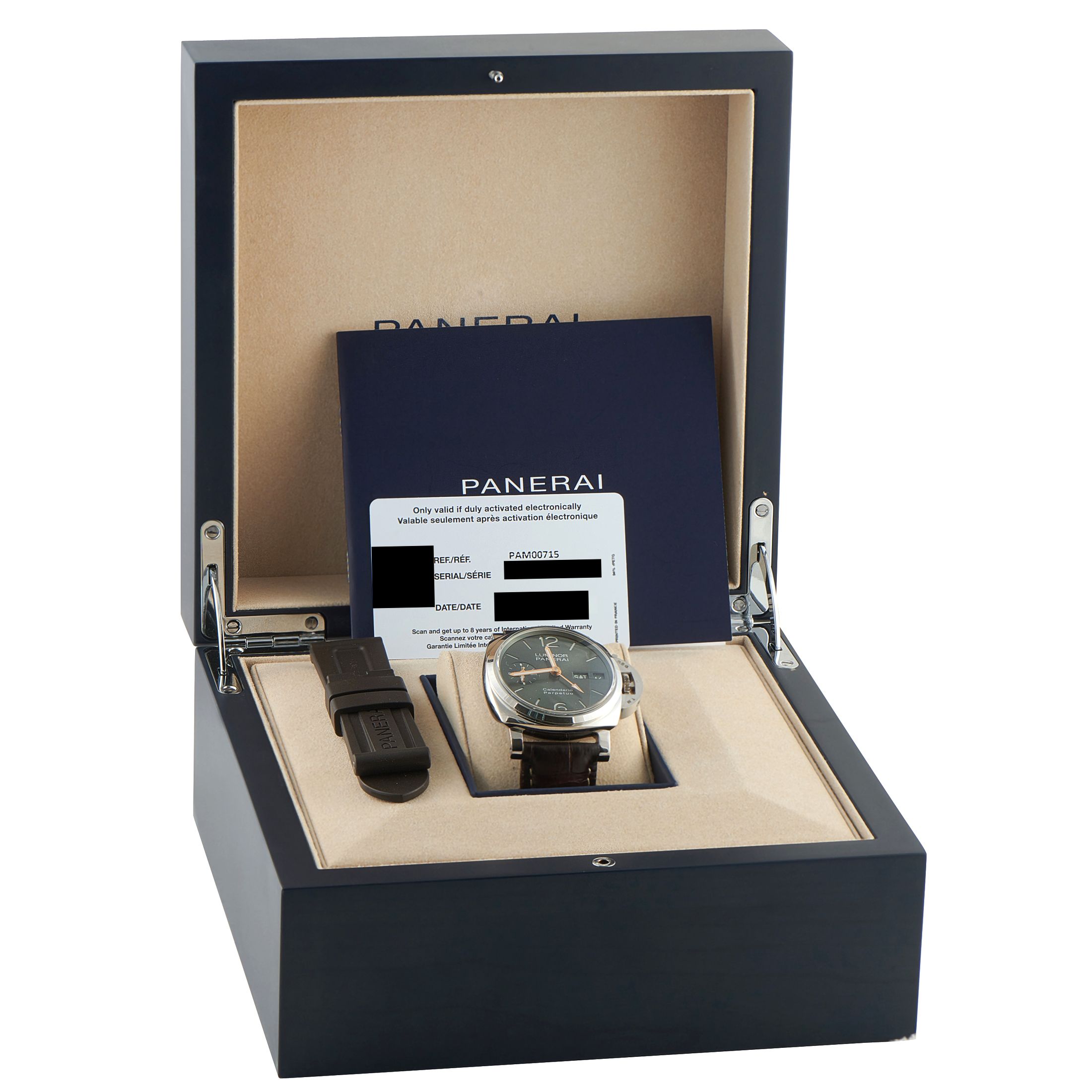 Officine Panerai Luminor Perpetual Calendar GMT Platinumtech Watch pam00715
