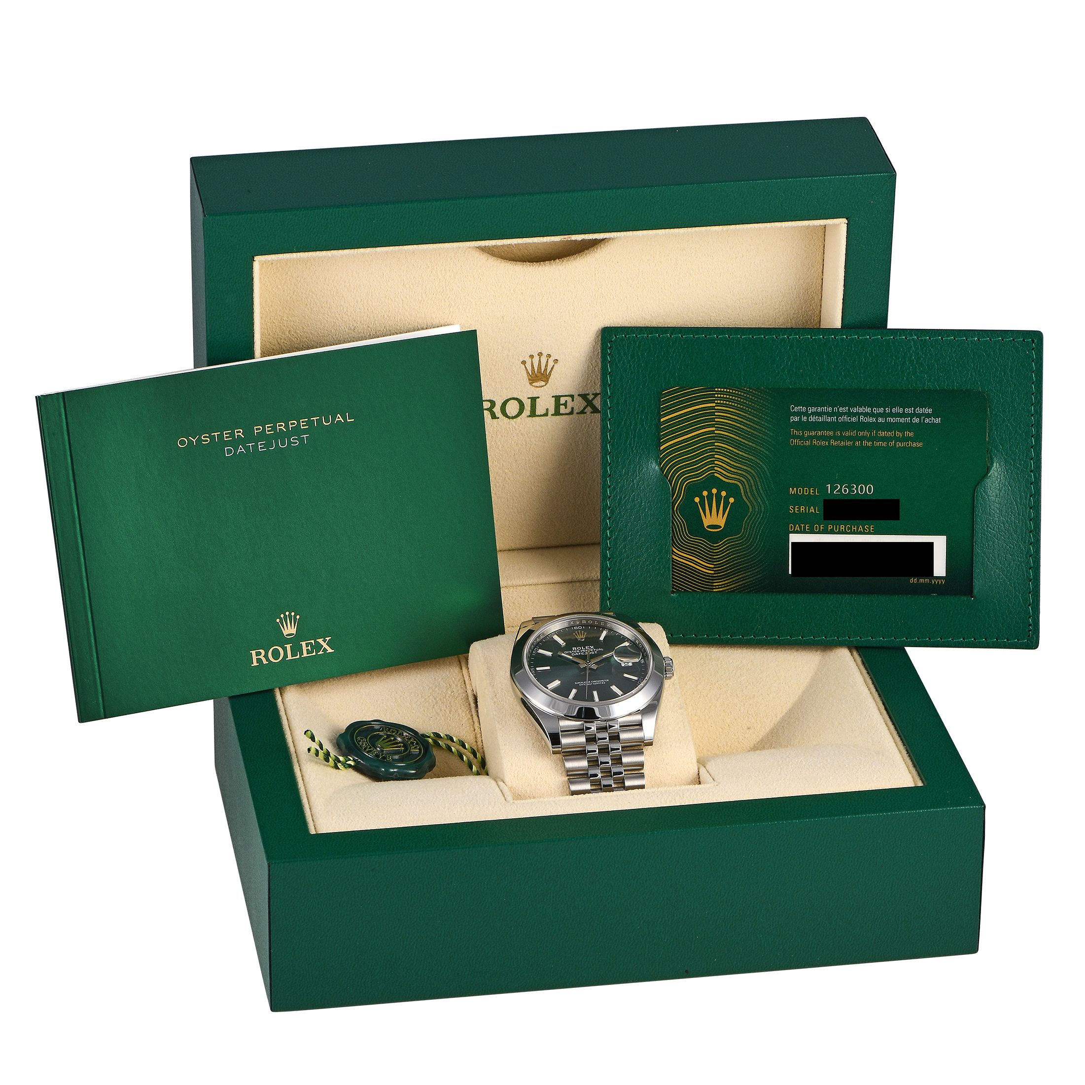 Rolex Datejust 41 Mint Green Dial Watch 126300