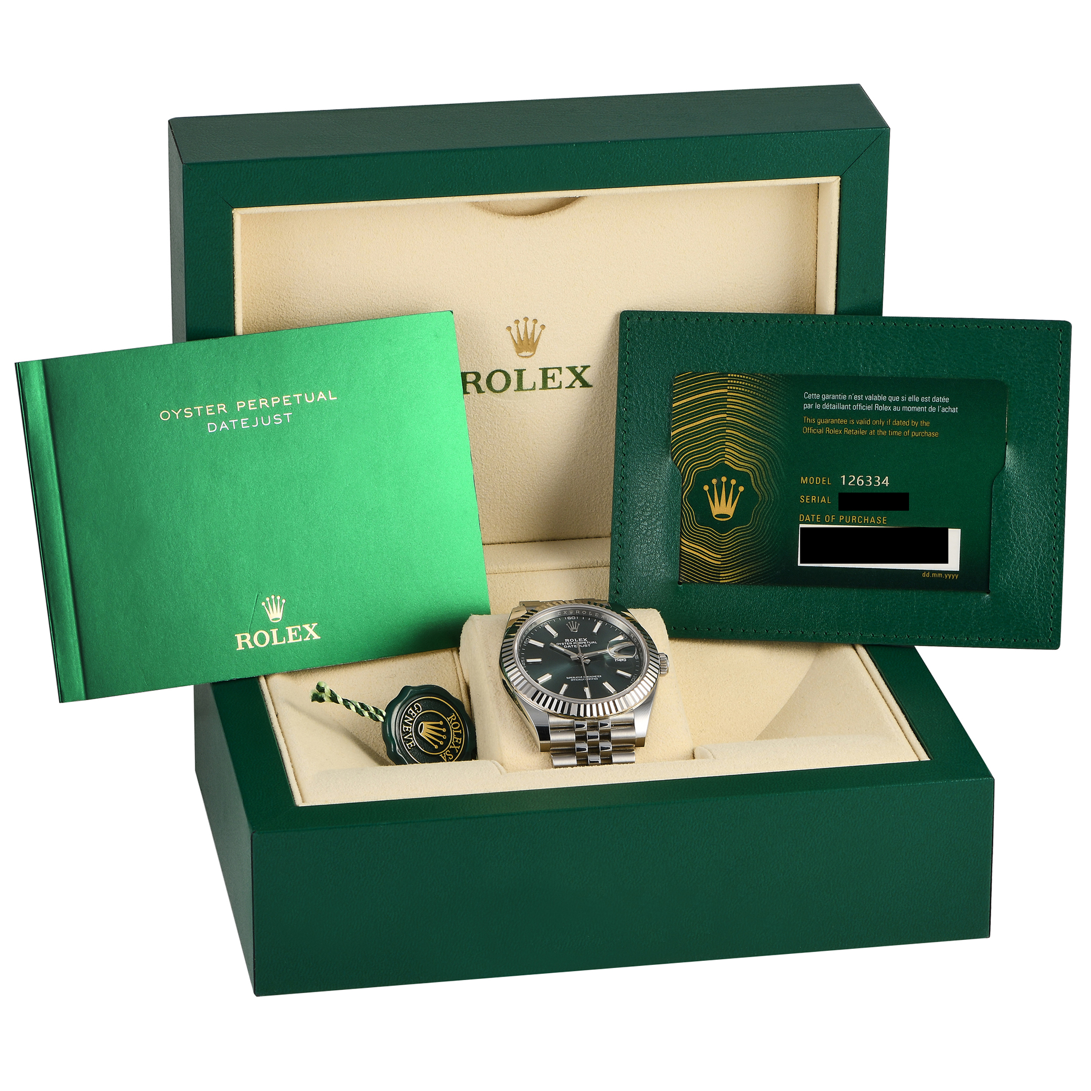 Rolex Datejust 41 Mint Green Dial Watch 126334