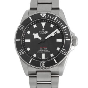 Tudor Pelagos 39 Titanium Watch 25407N