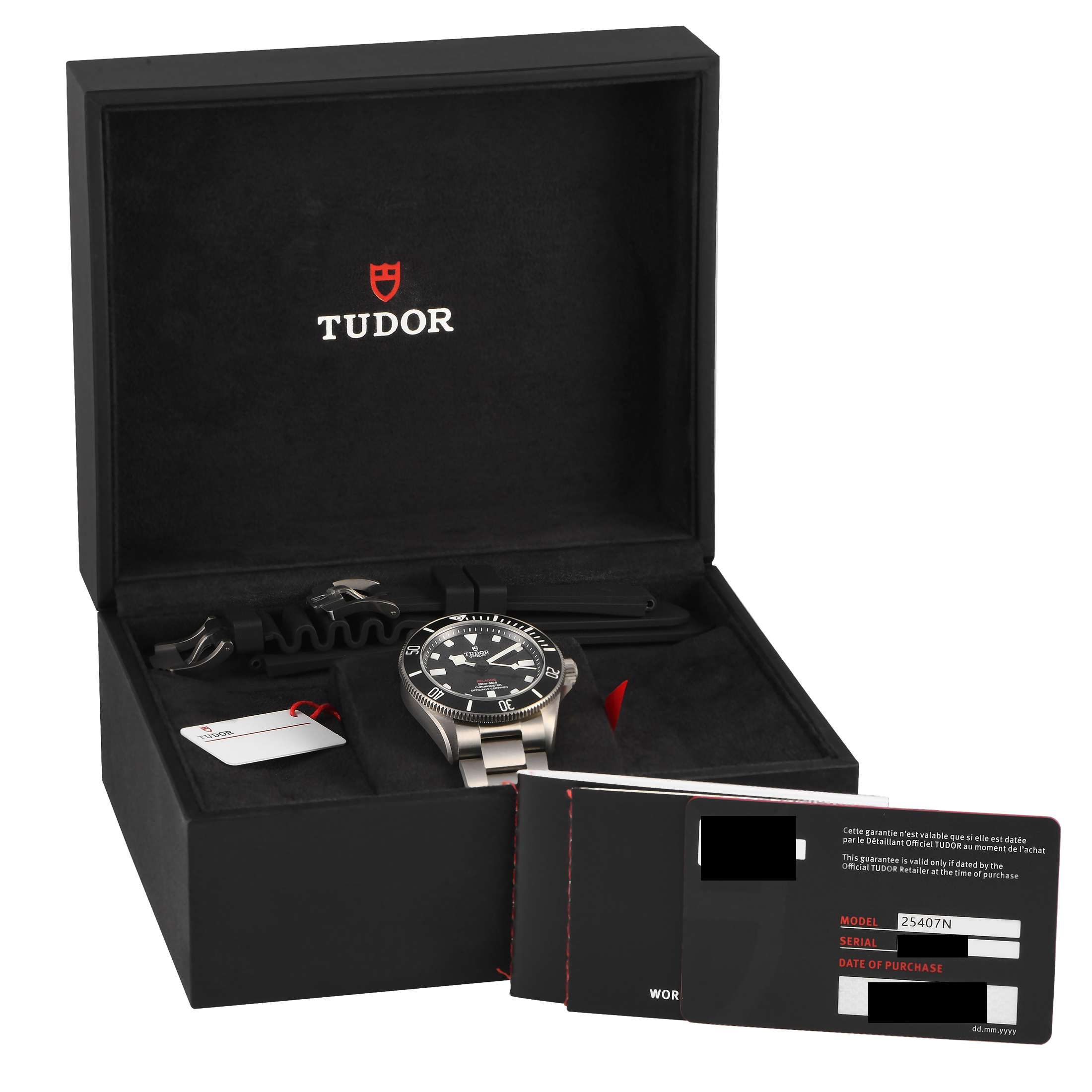 Tudor Pelagos 39 Watch 25407N-0001