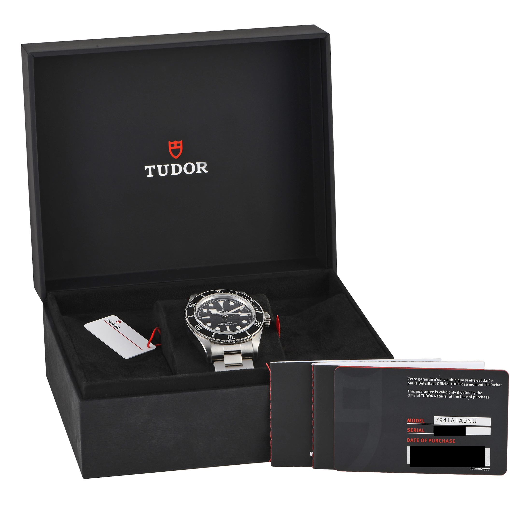 Tudor Black Bay Master Chronometer Watch M7941A1A0NU