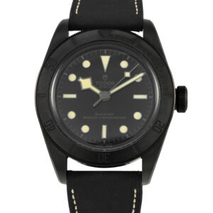 Tudor Black Bay Ceramic Watch M79210CNU-0001