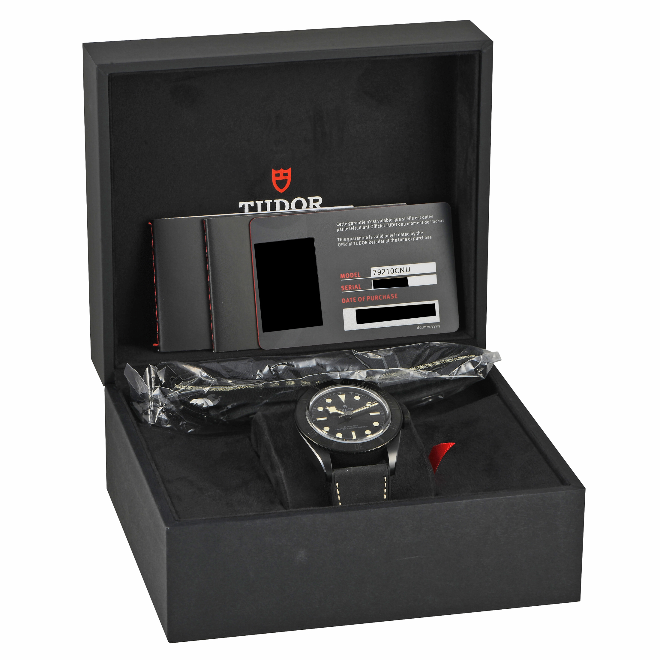 Tudor Black Bay Ceramic Watch M79210CNU-0001