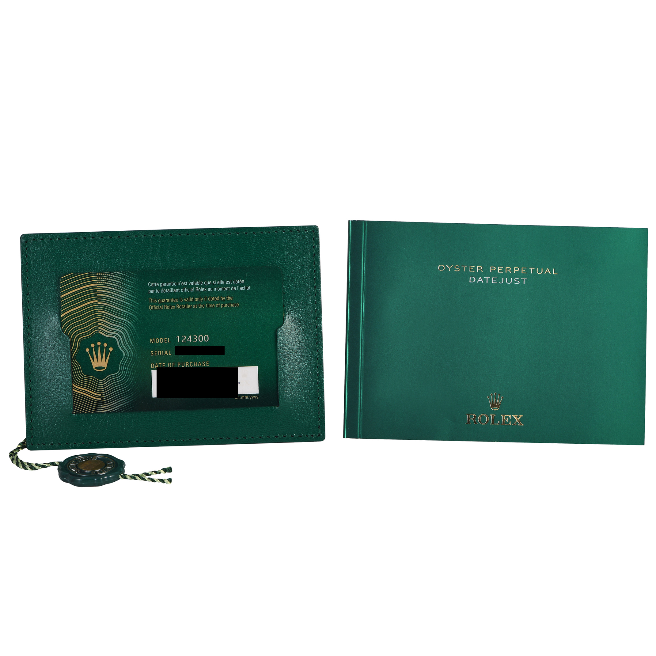 Rolex Oyster Perpetual 41 Green Dial Watch 124300