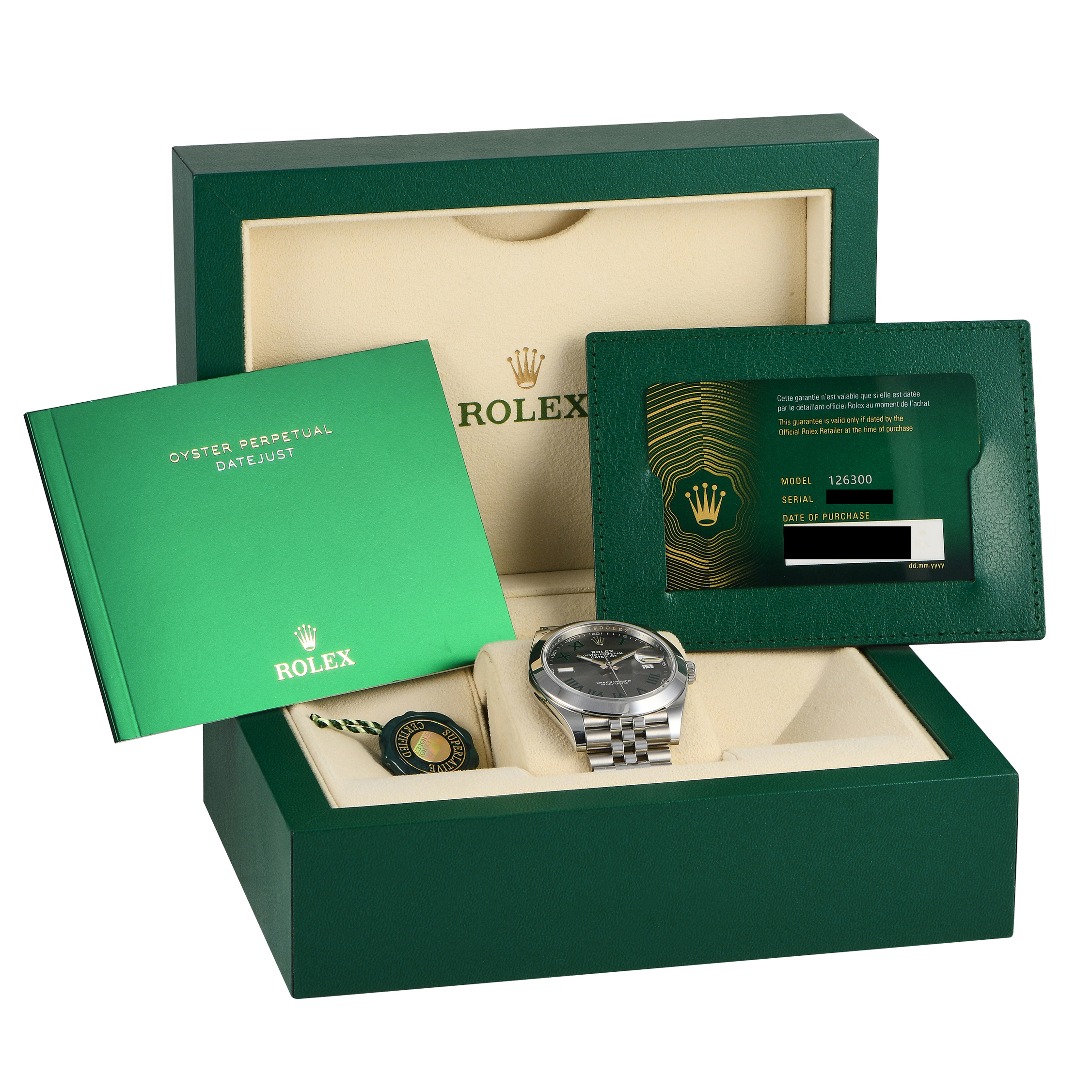Rolex Datejust 41 Watch 126300