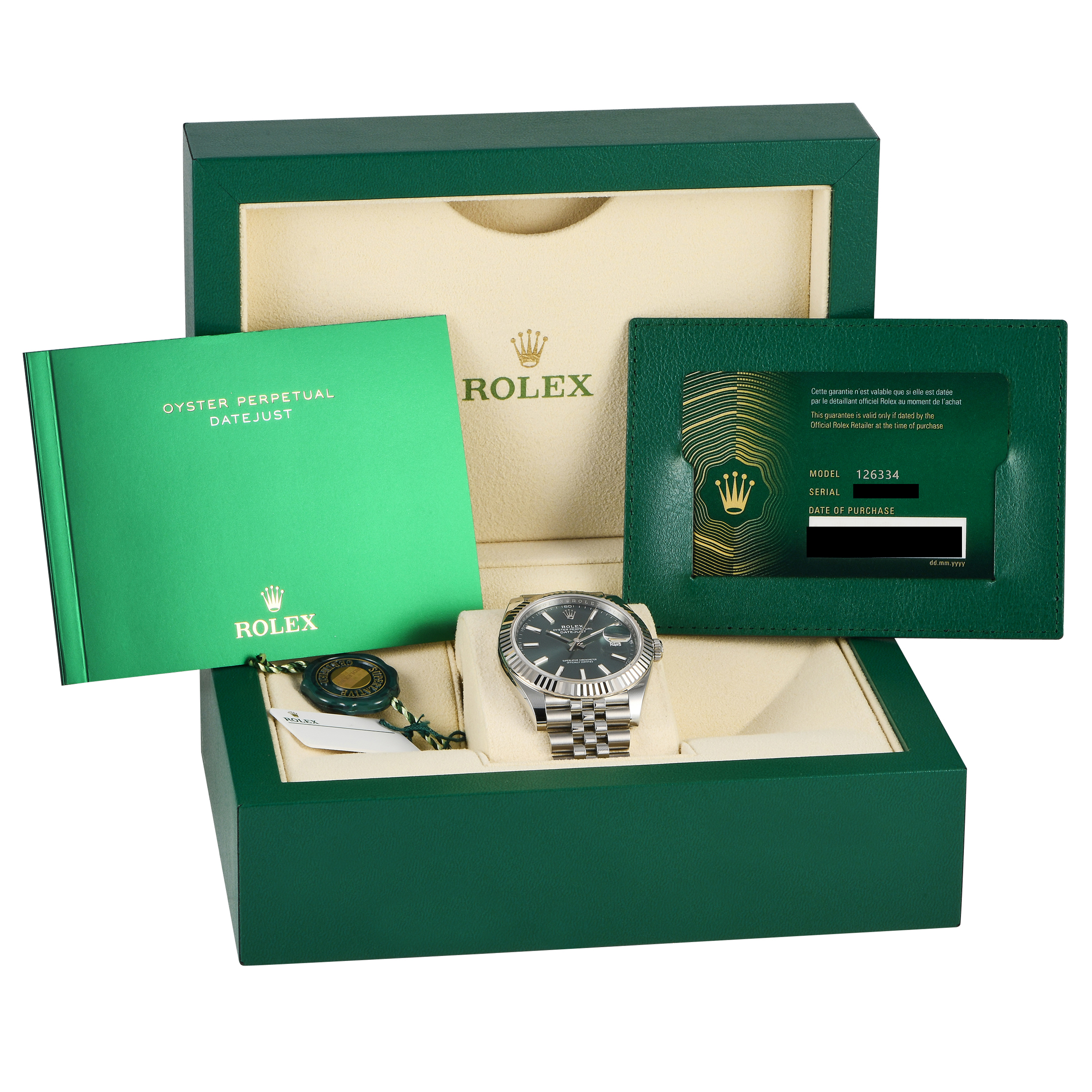 Rolex Datejust 41 Mint Green Dial Watch 126334