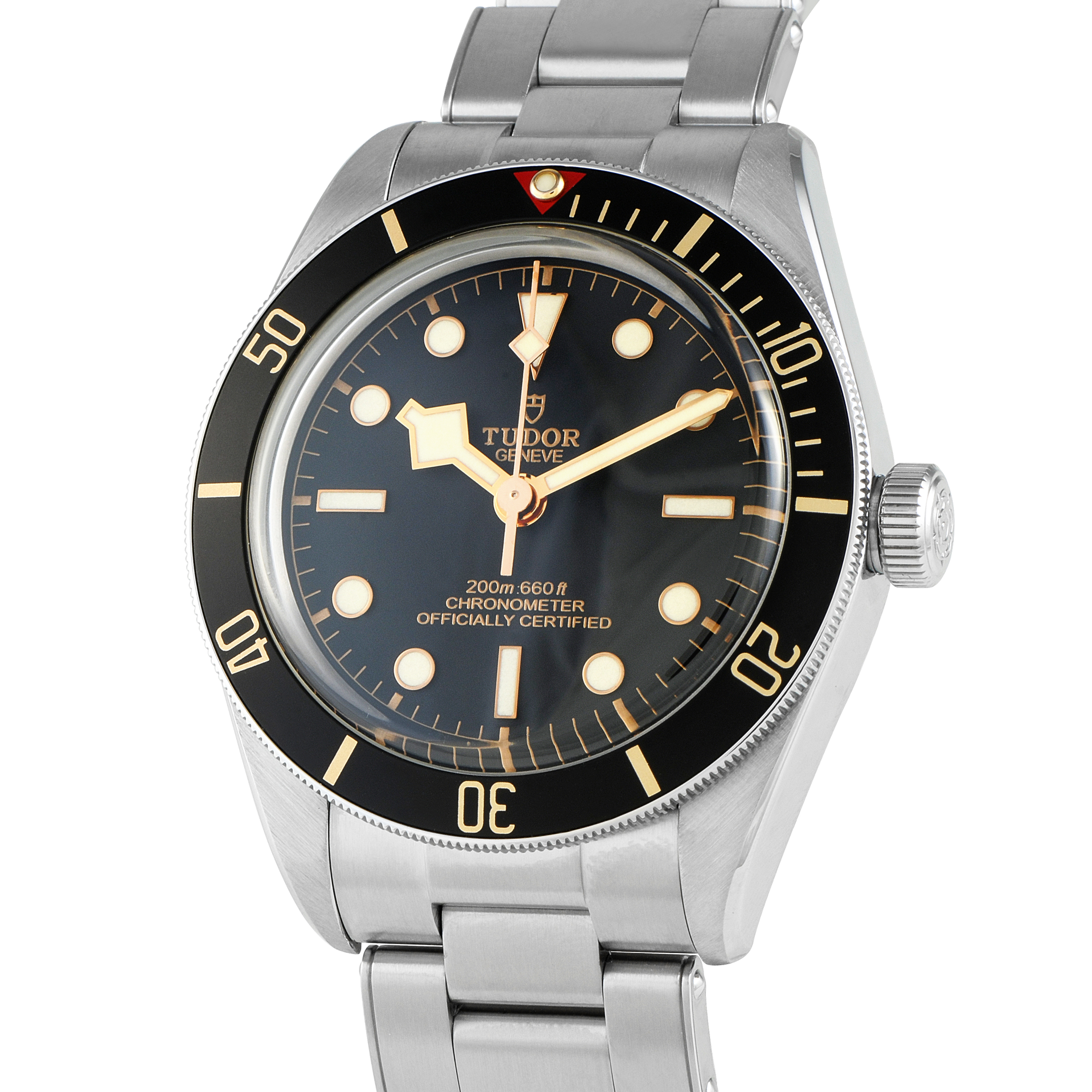 Tudor Black Bay 58 Watch 79030N