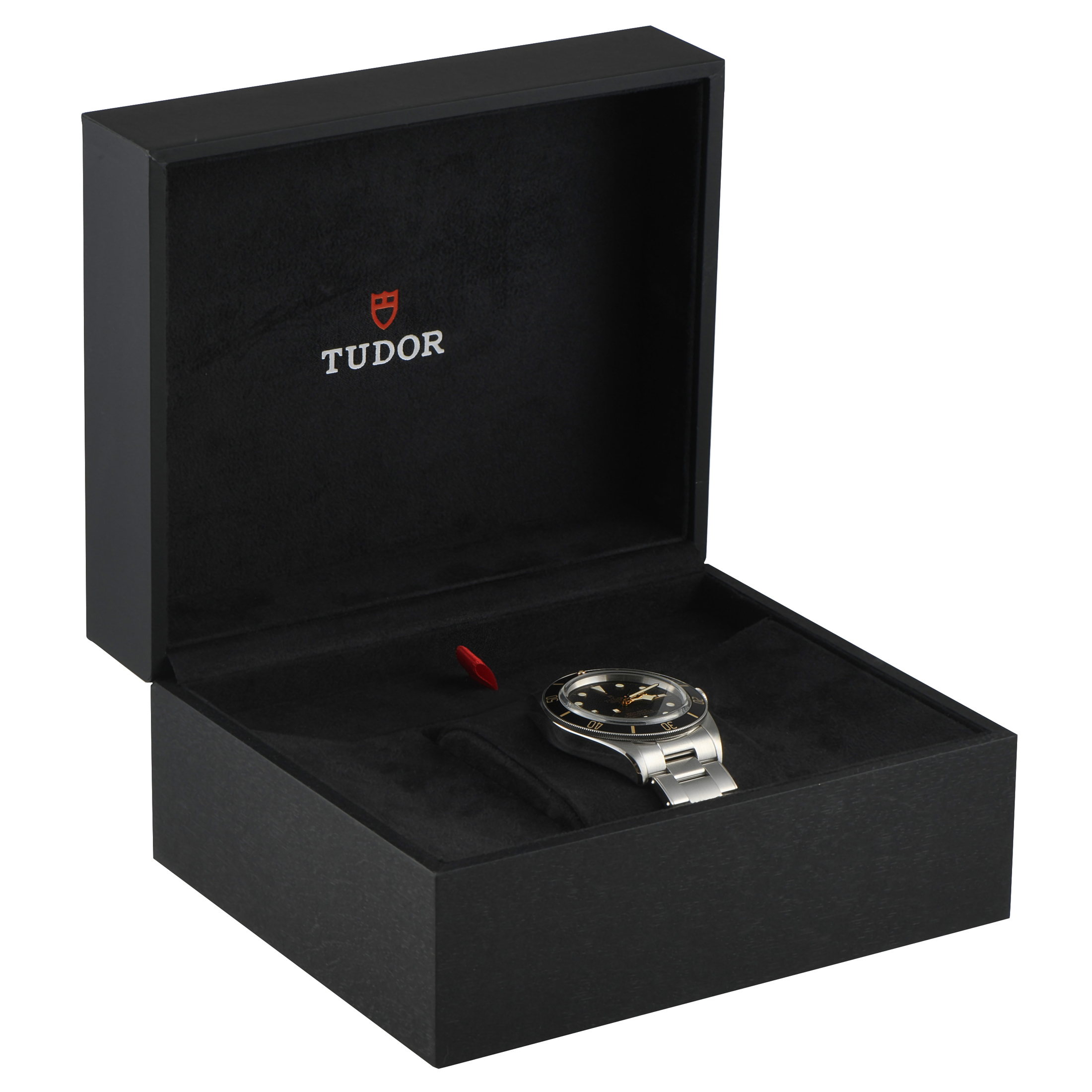 Tudor Black Bay 58 Watch 79030N