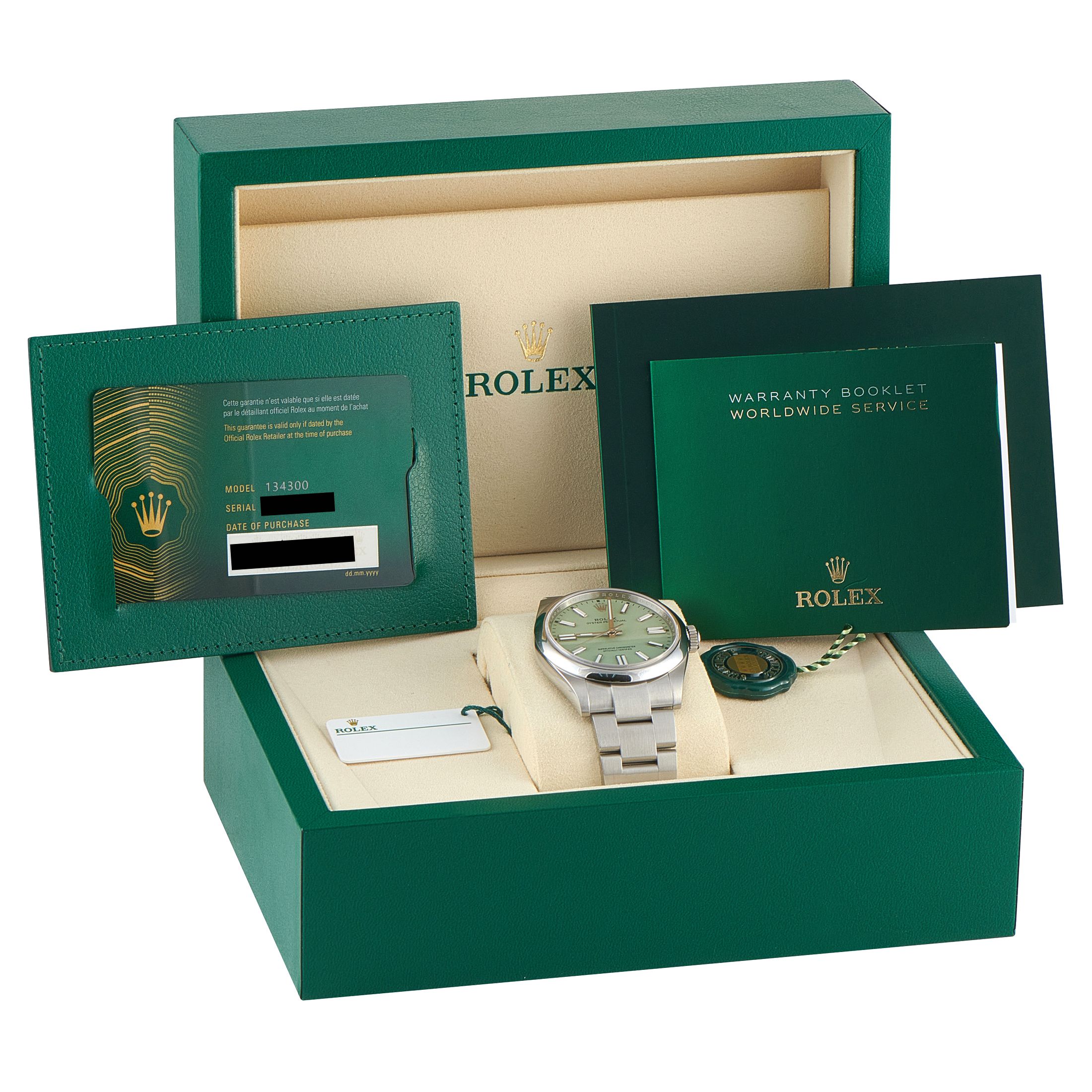 Rolex Oyster Perpetual 41 Pistachio Dial Steel Watch 134300-0006