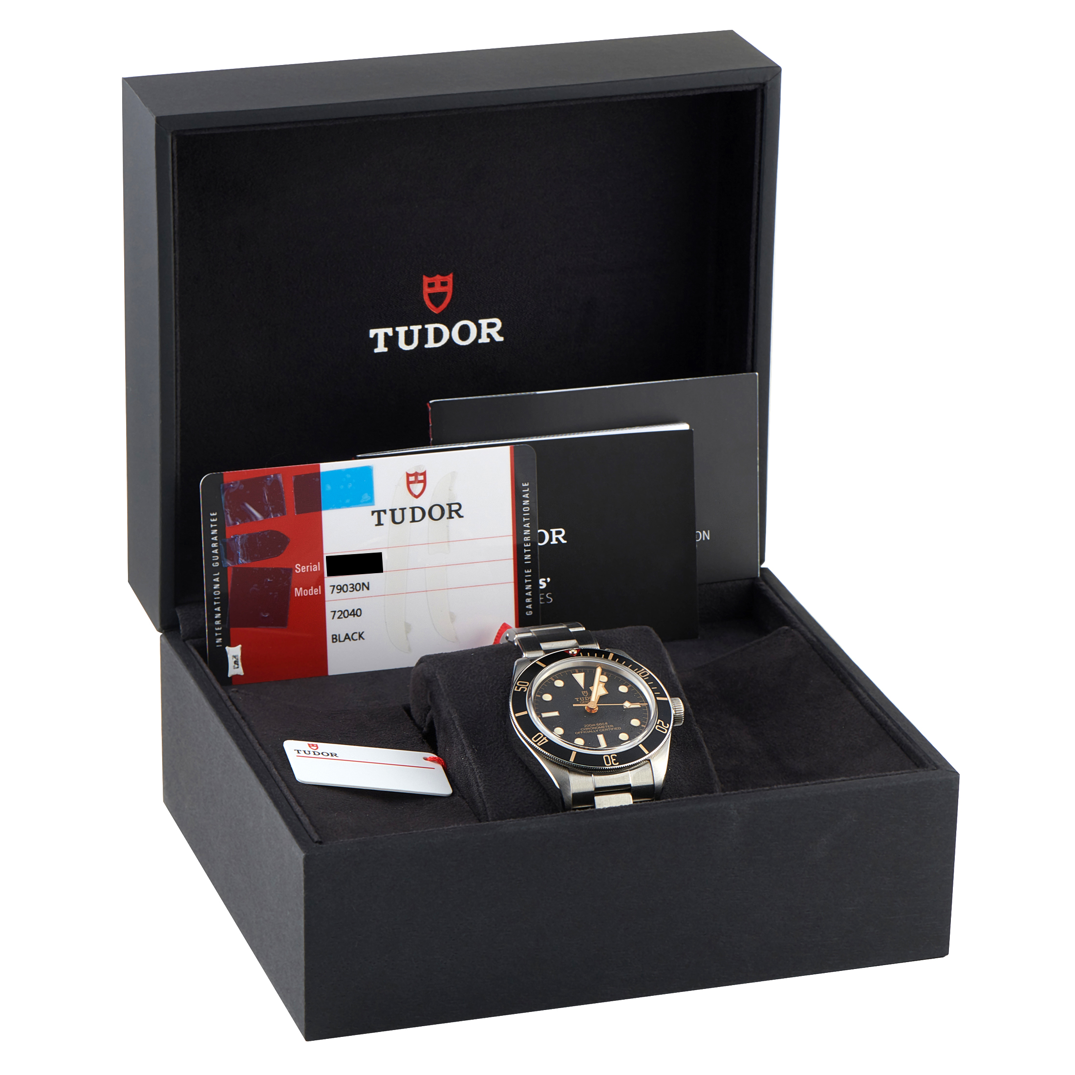 Tudor Black Bay 58 Steel Watch 79030N