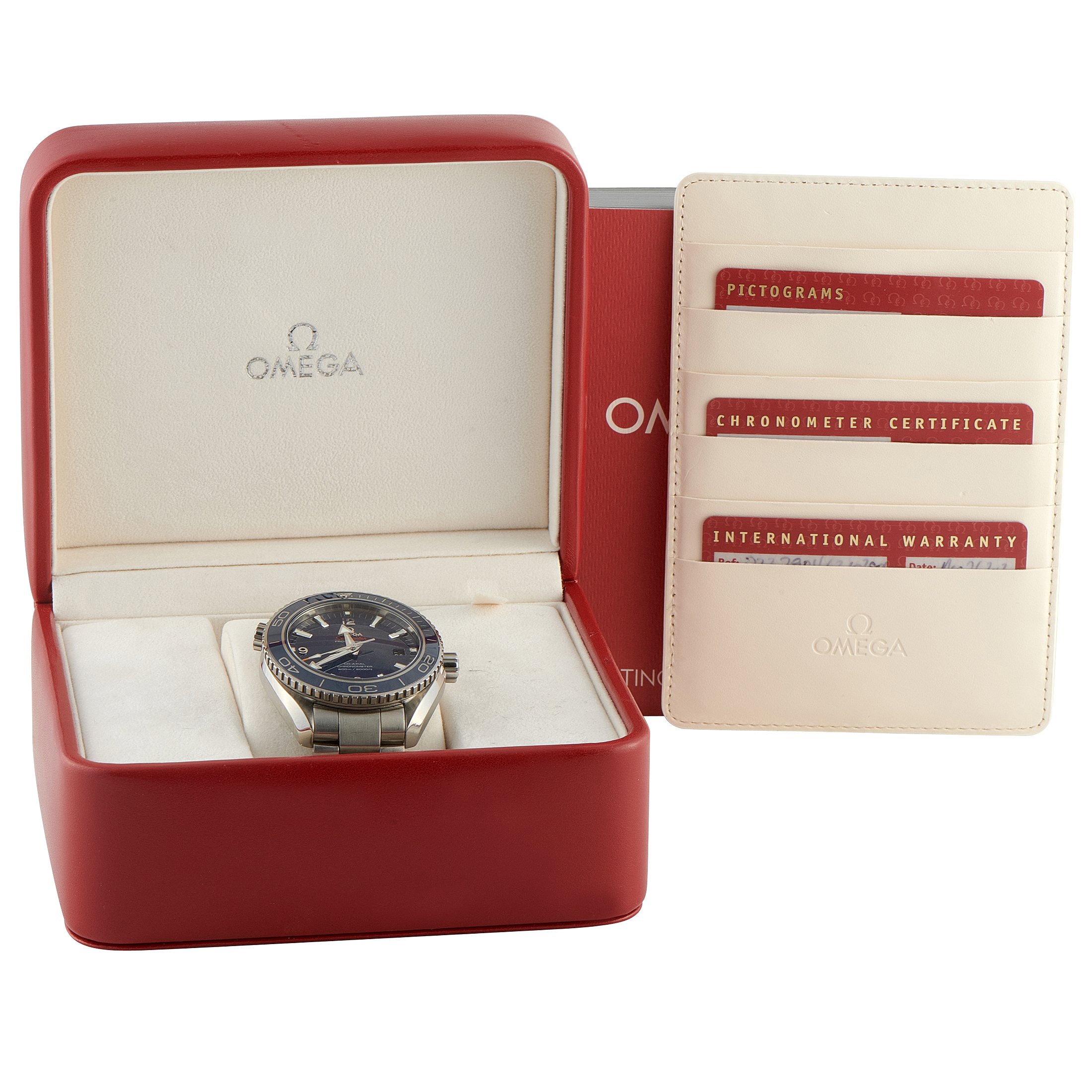 Omega Seamaster Planet Ocean Titanium Watch 232.90.46.21.03.001