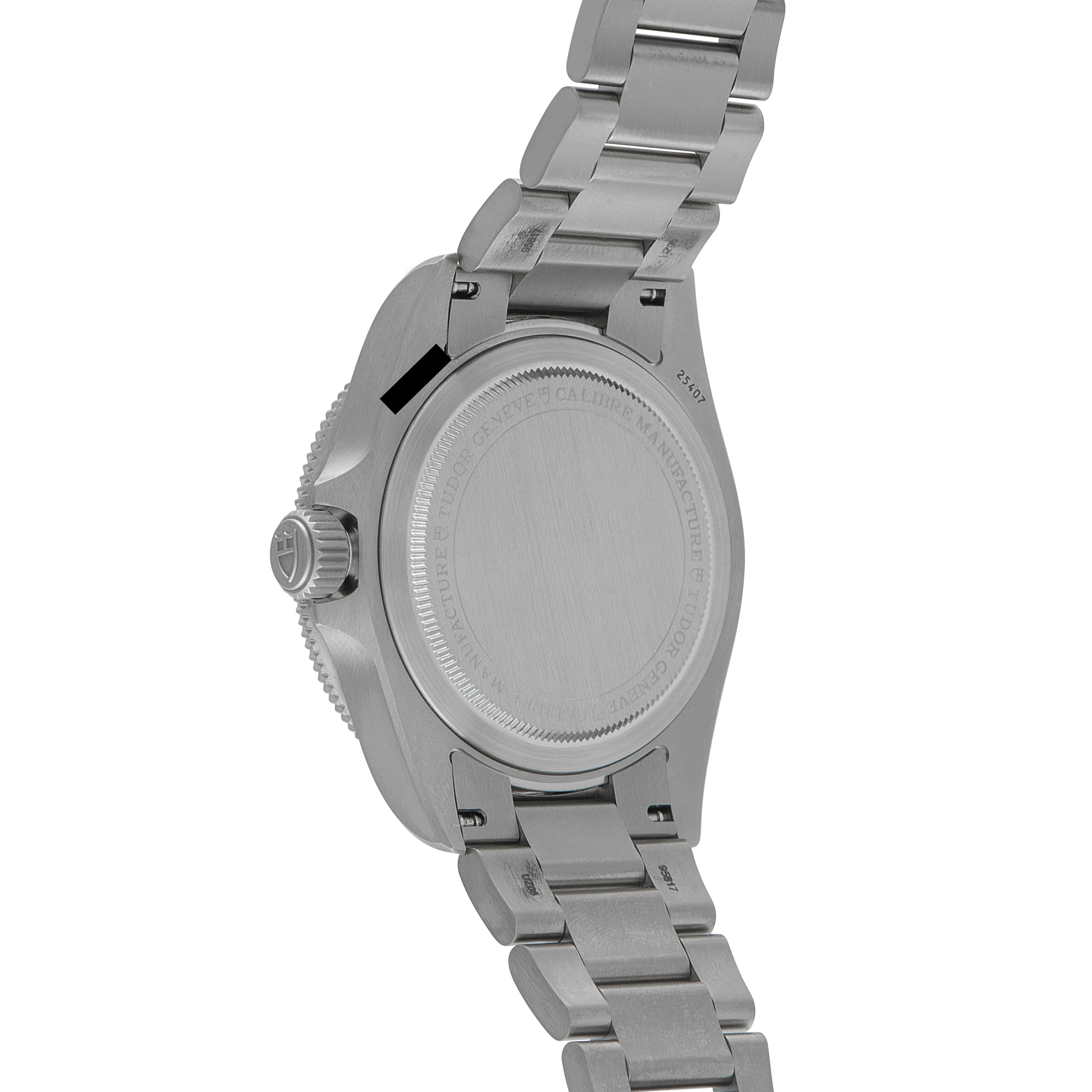 Tudor Pelagos 39 Titanium Watch 25407N