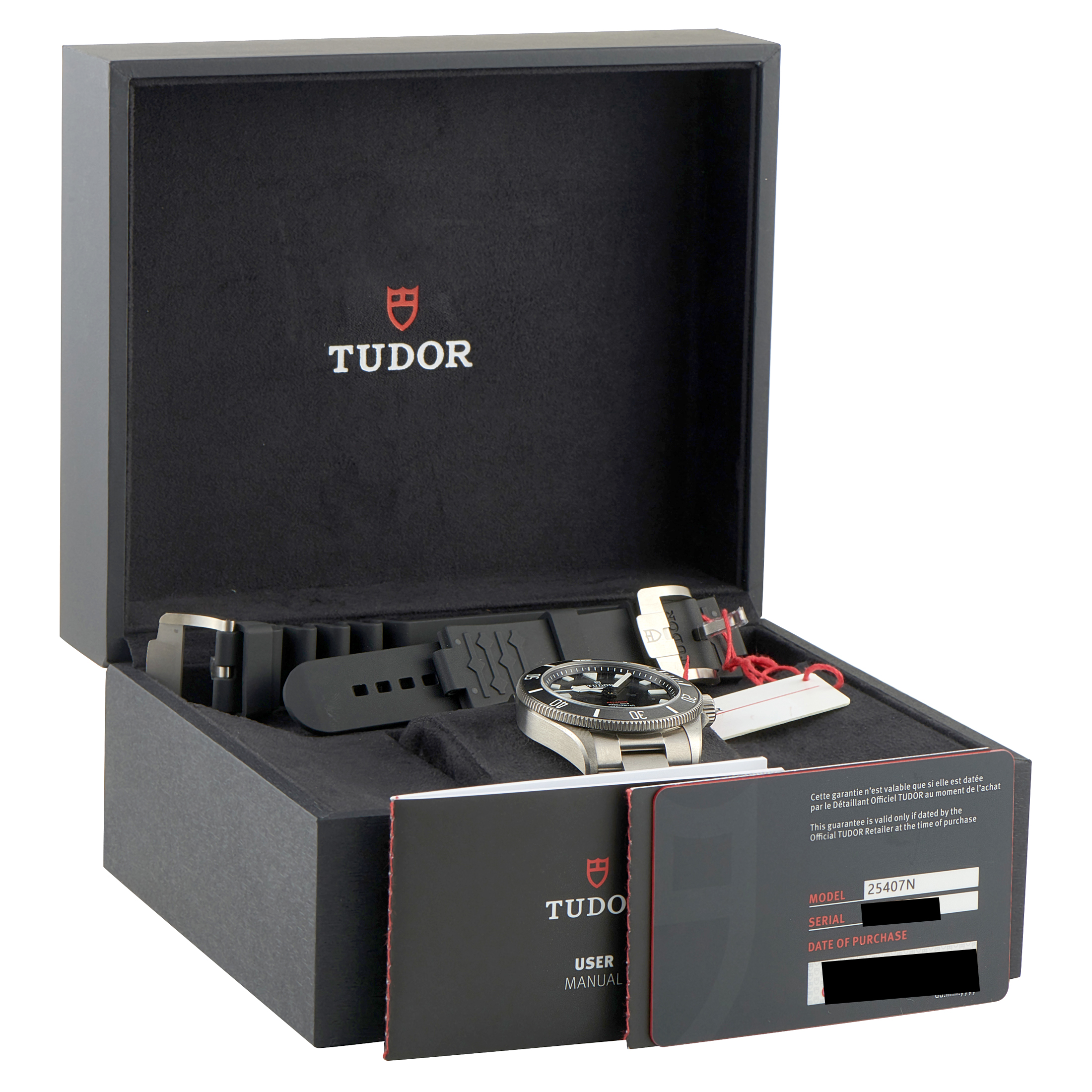 Tudor Pelagos 39 Titanium Watch 25407N